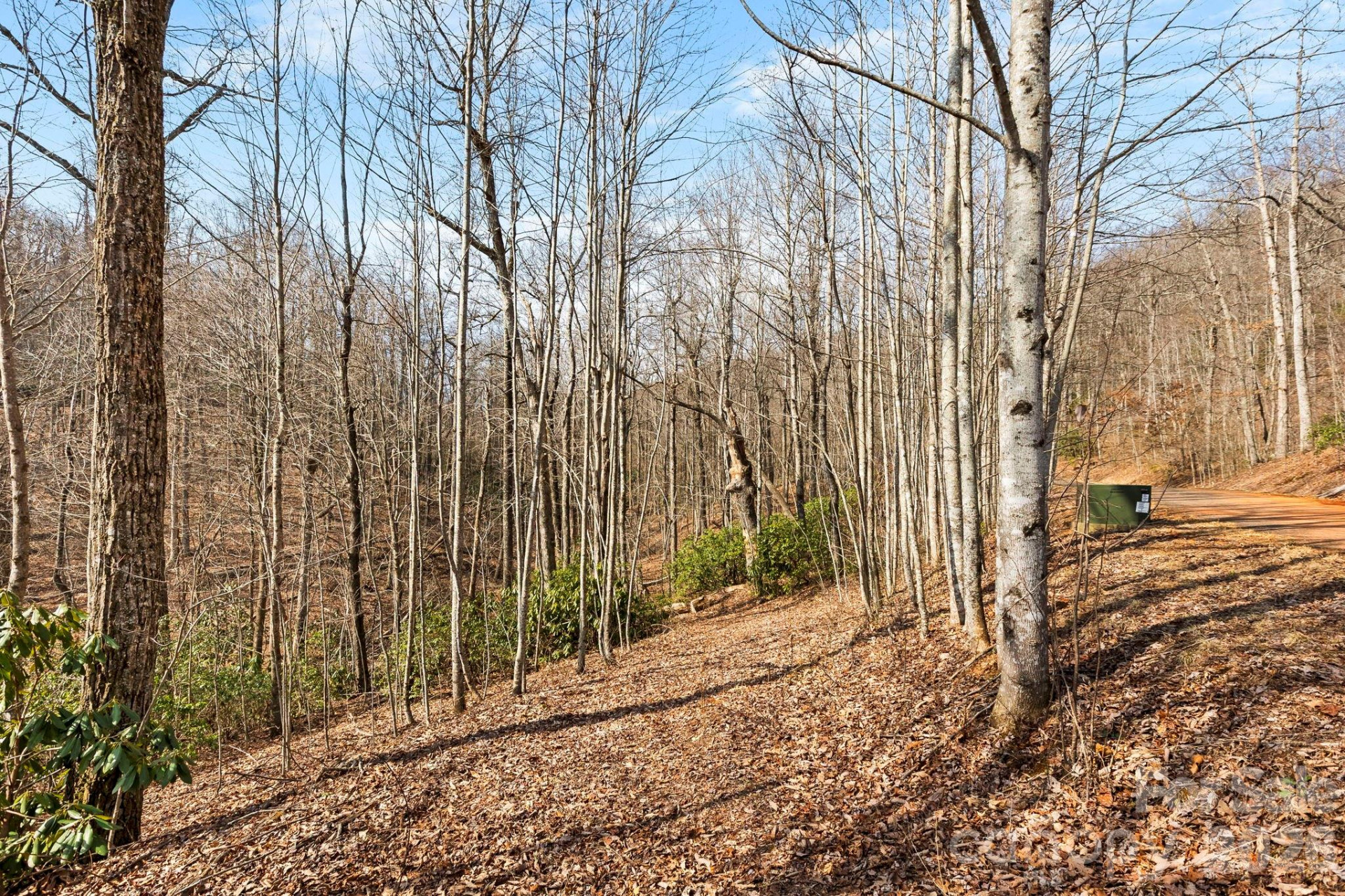 Lot 5 Laurel Mountain Trail - Photo 7