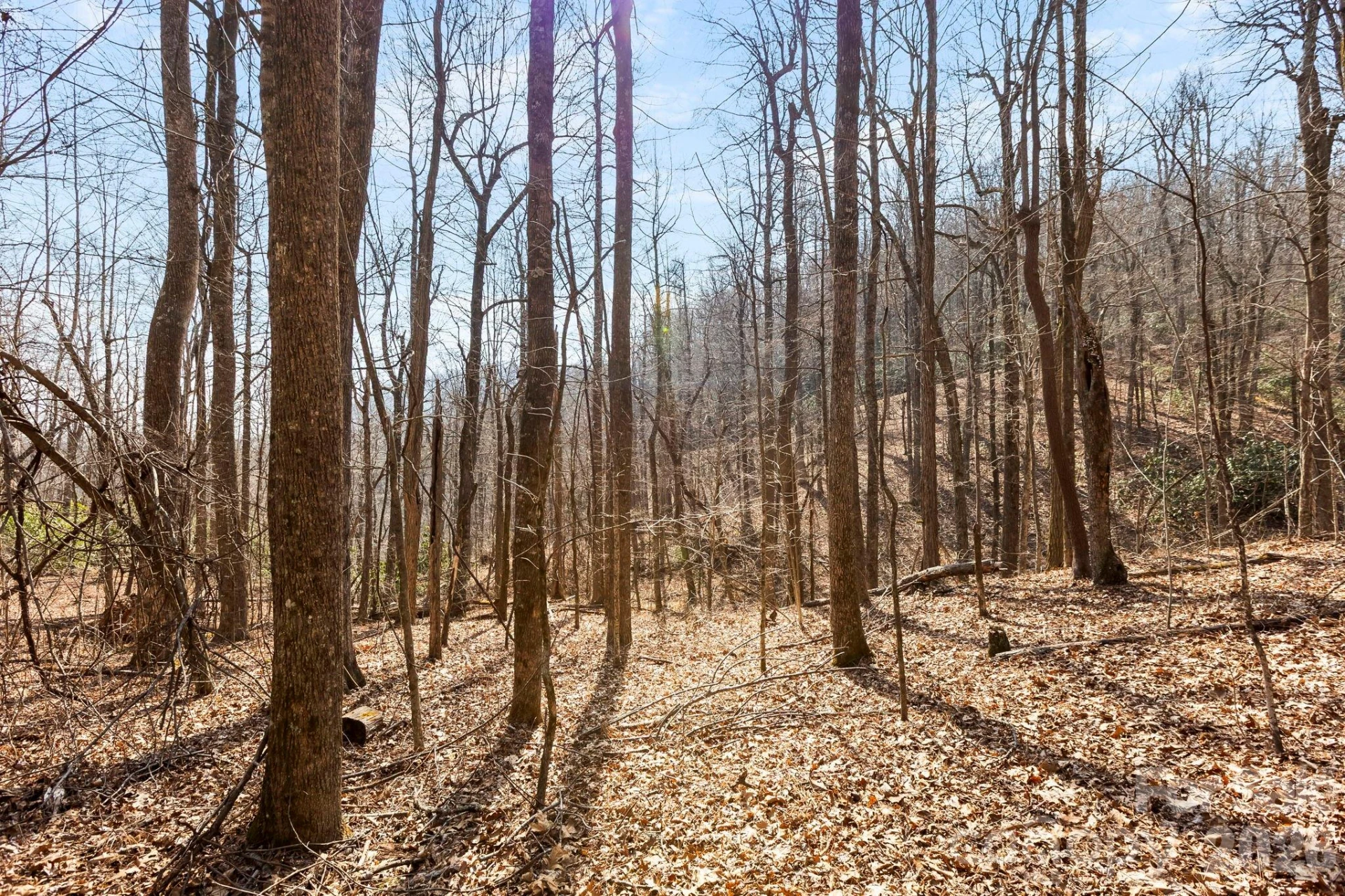 Lot 5 Laurel Mountain Trail - Photo 8