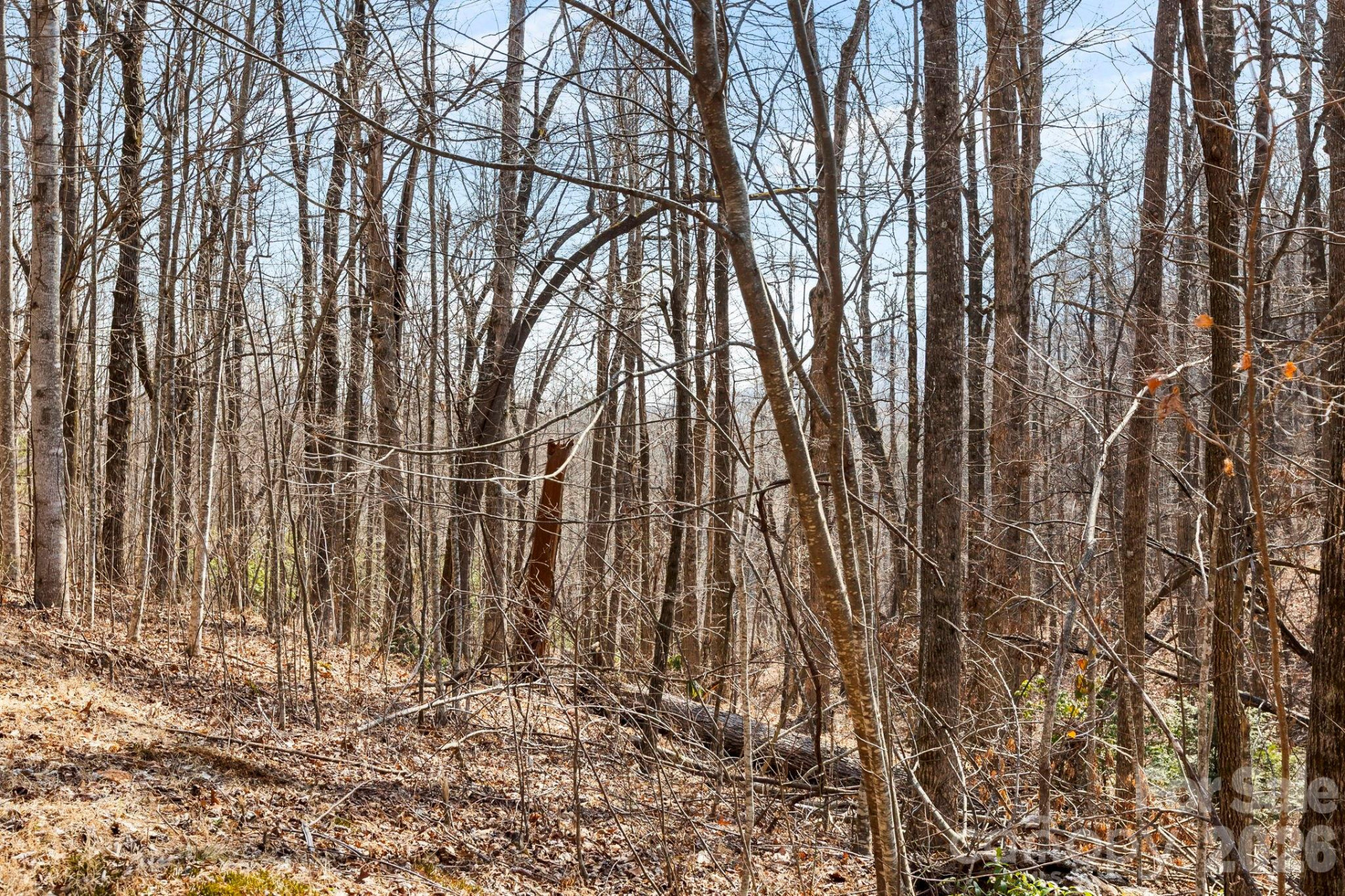 Lot 5 Laurel Mountain Trail - Photo 9
