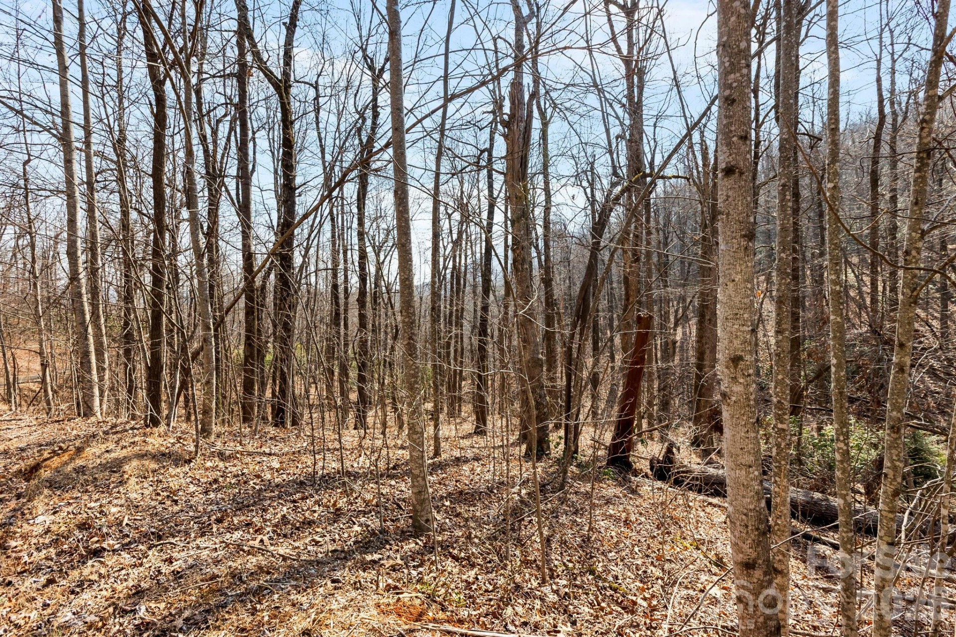 Lot 5 Laurel Mountain Trail - Photo 10