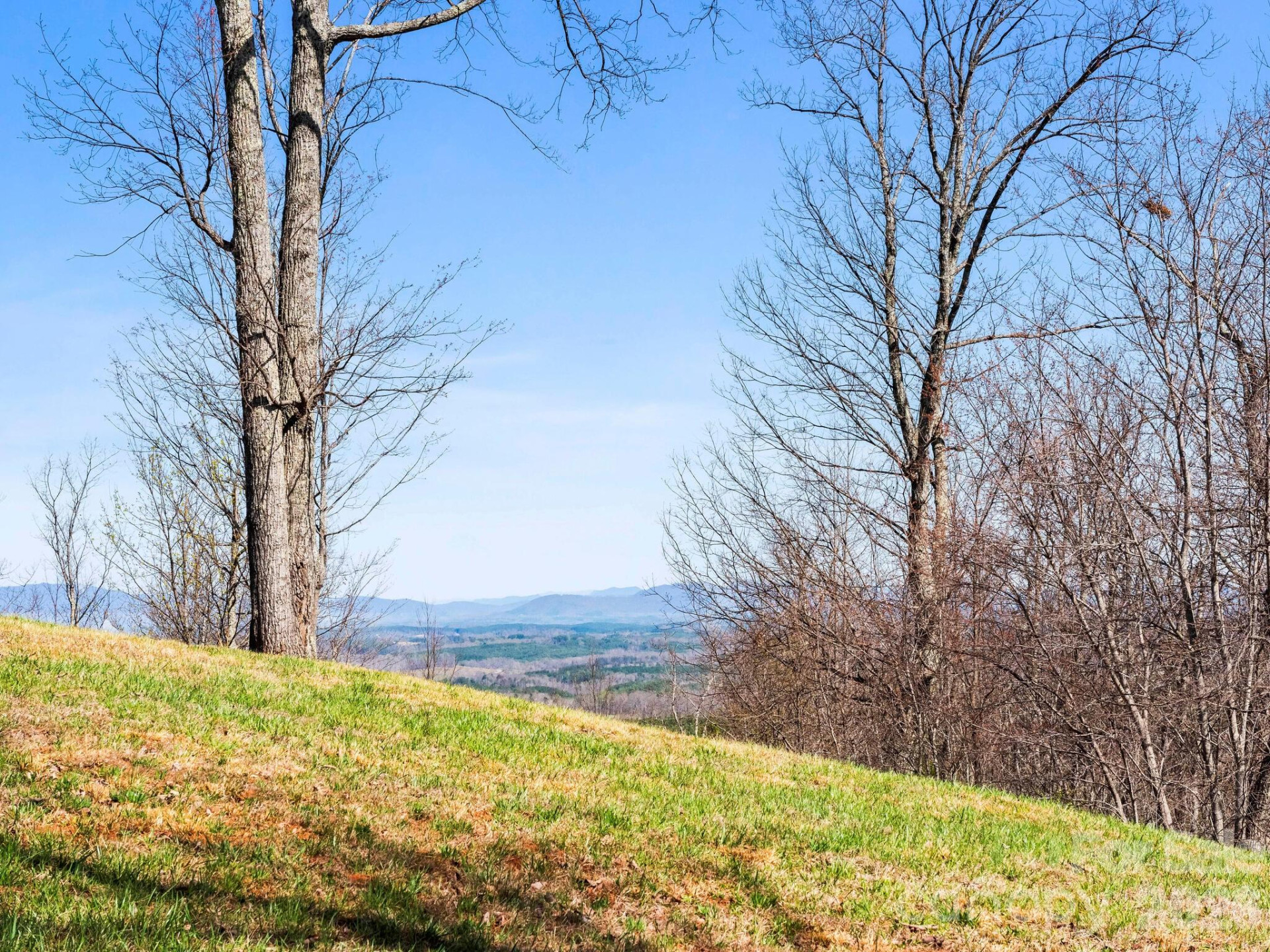 25 Preservation Trail - Photo 15