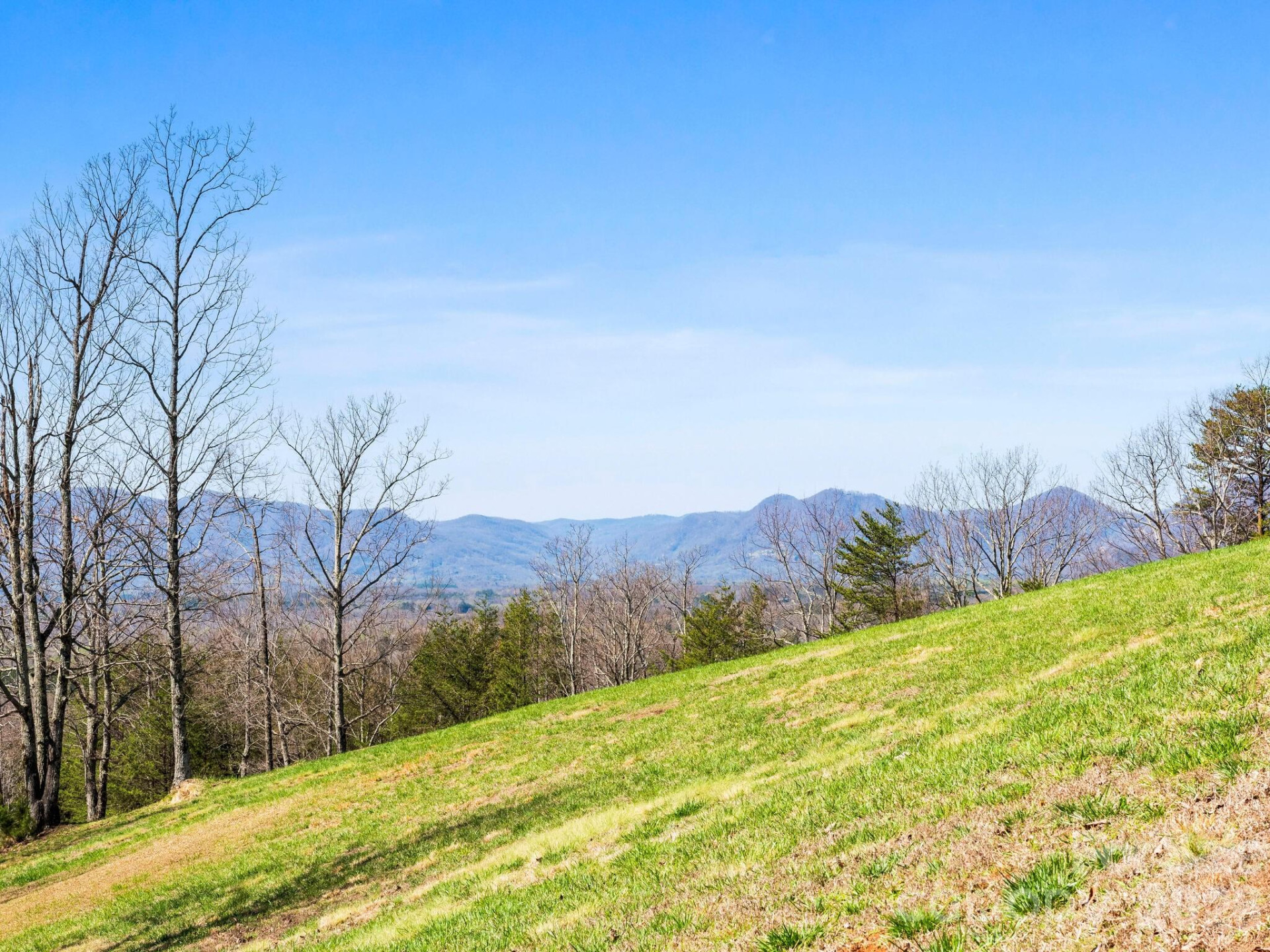 25 Preservation Trail - Photo 16