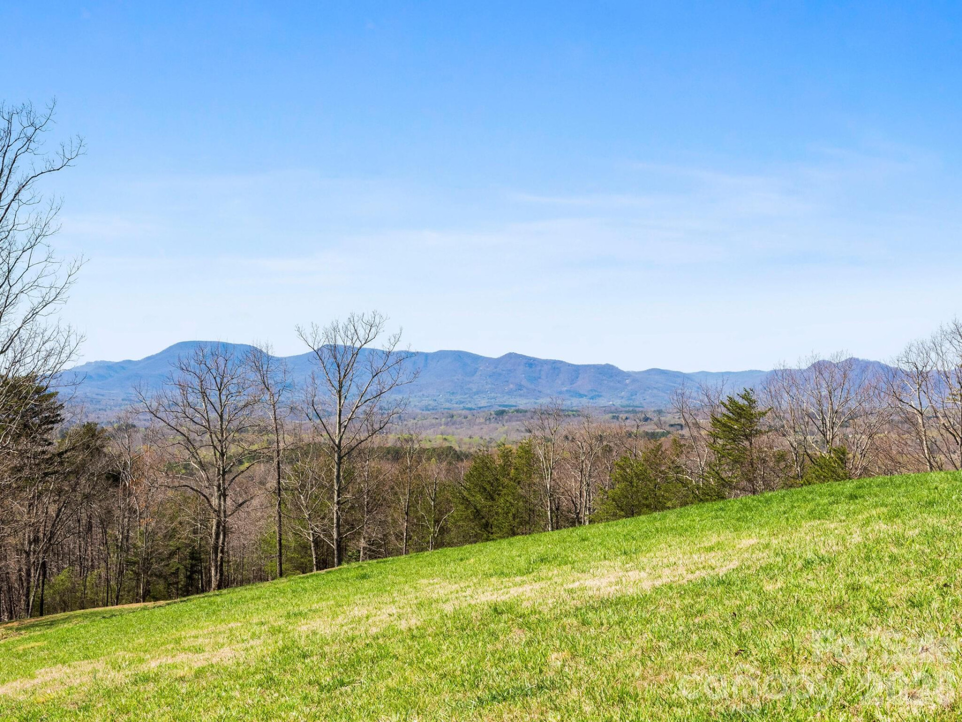 25 Preservation Trail - Photo 17