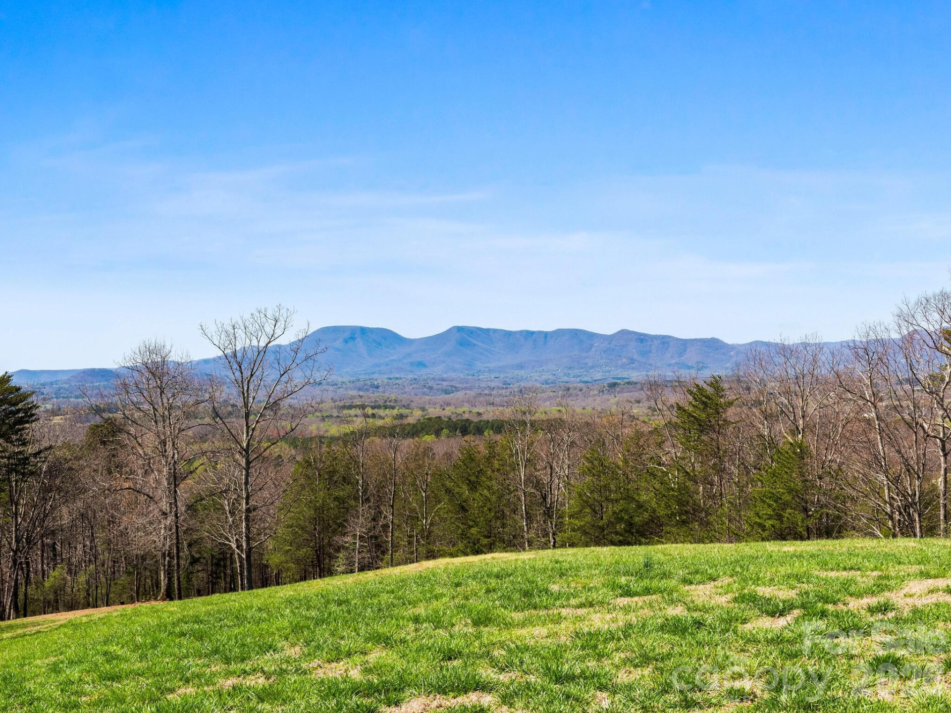 25 Preservation Trail - Photo 18