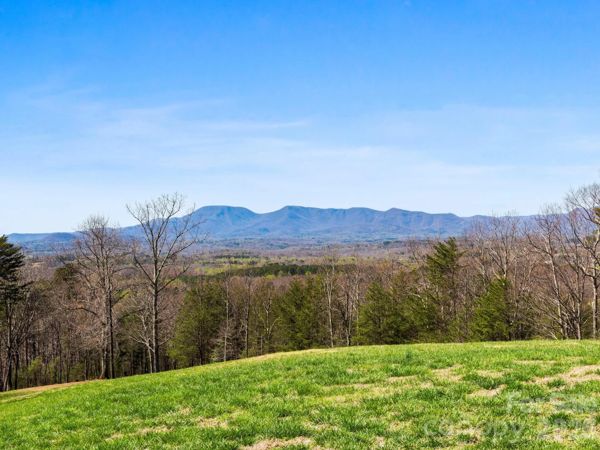 25 Preservation Trail - Photo 18
