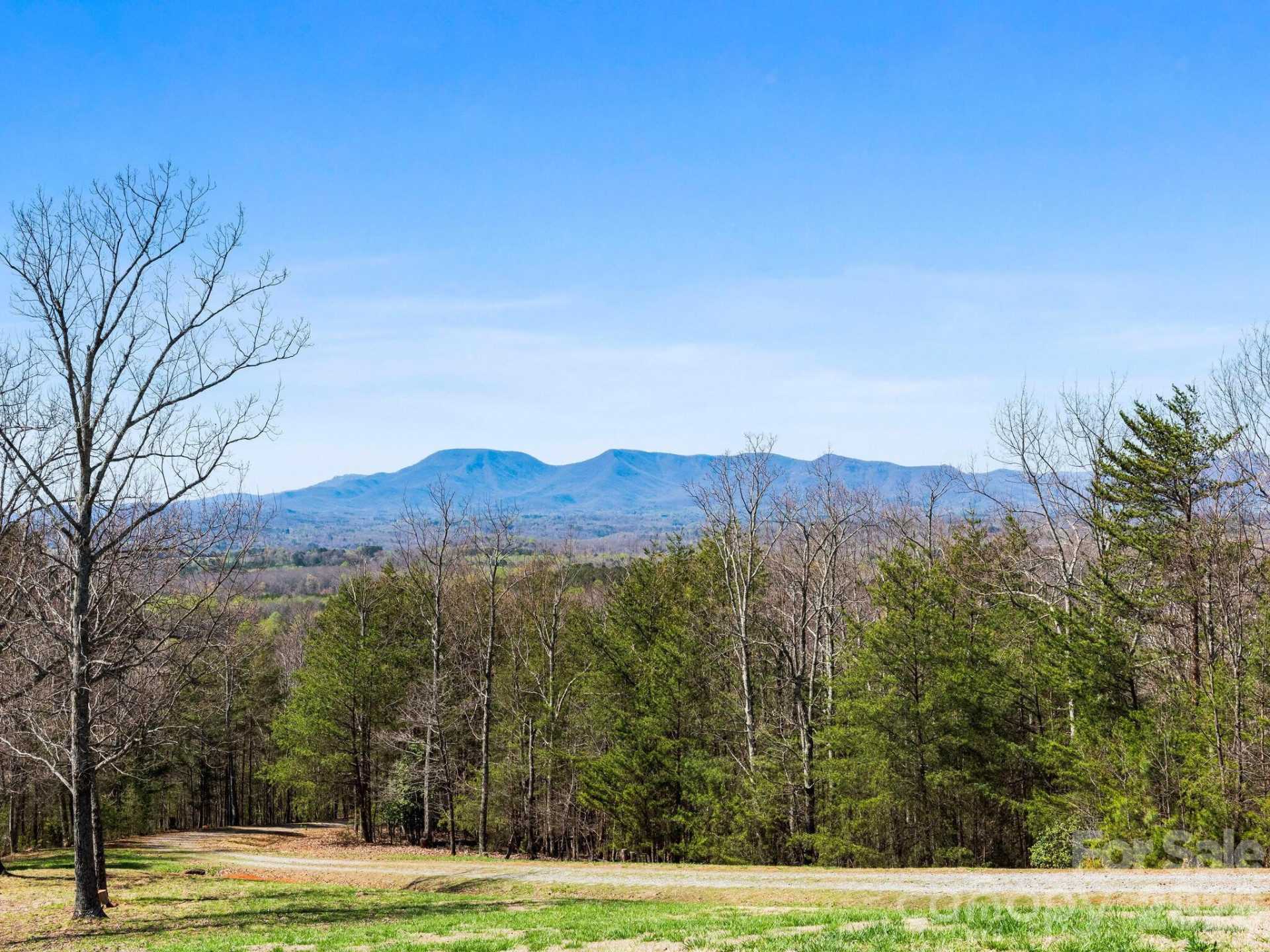 25 Preservation Trail - Photo 19