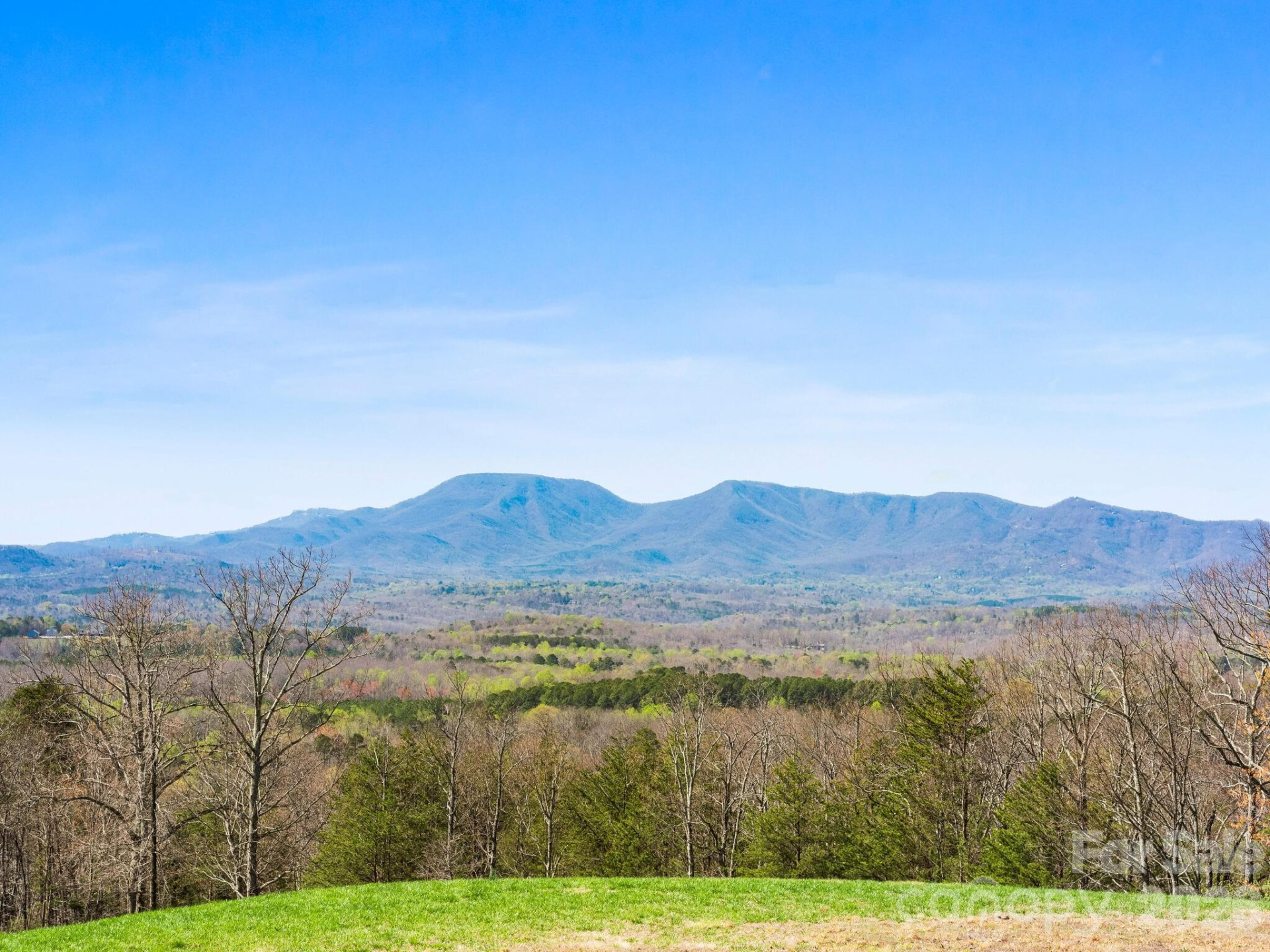 25 Preservation Trail - Photo 20