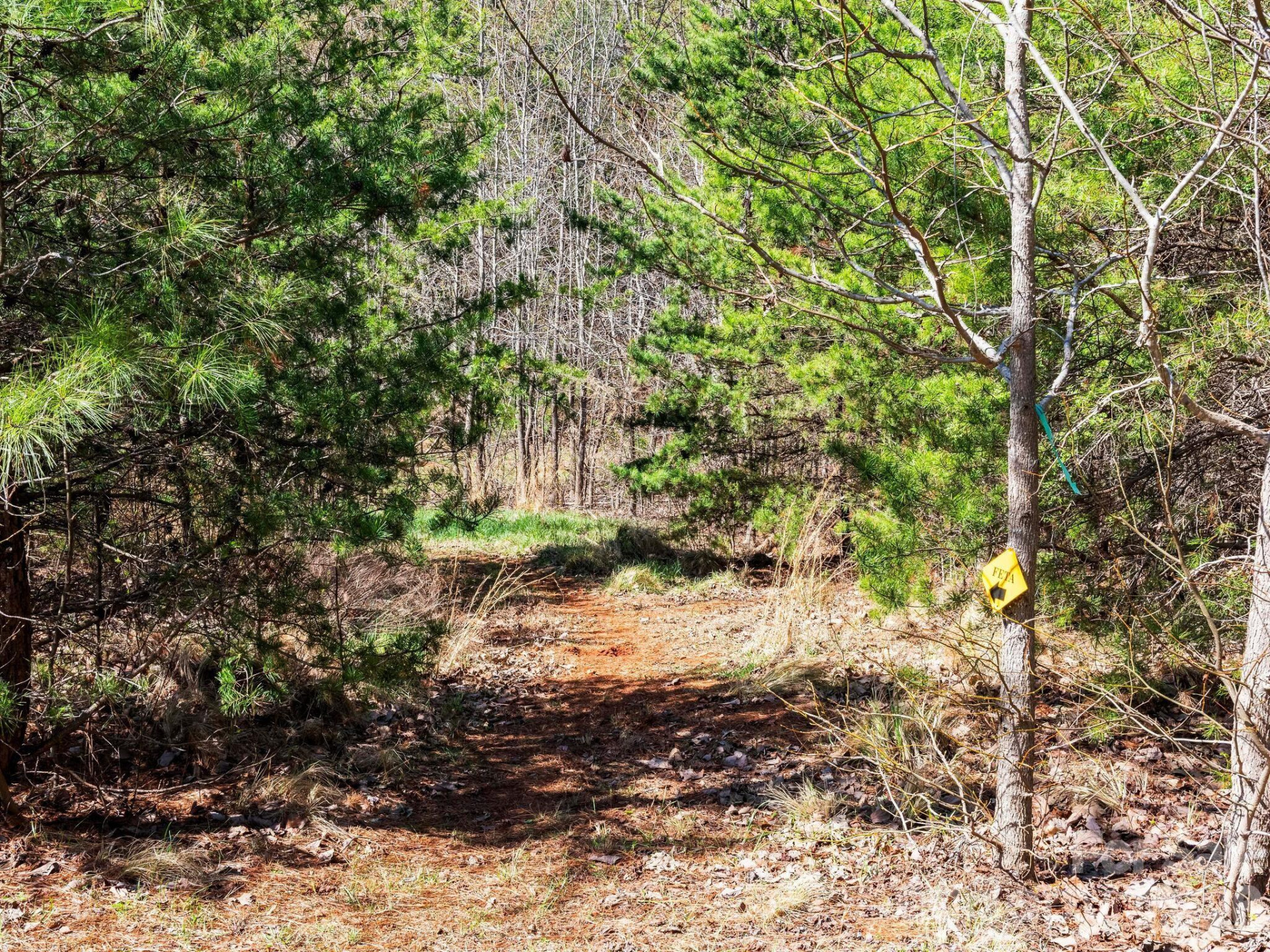 25 Preservation Trail - Photo 31