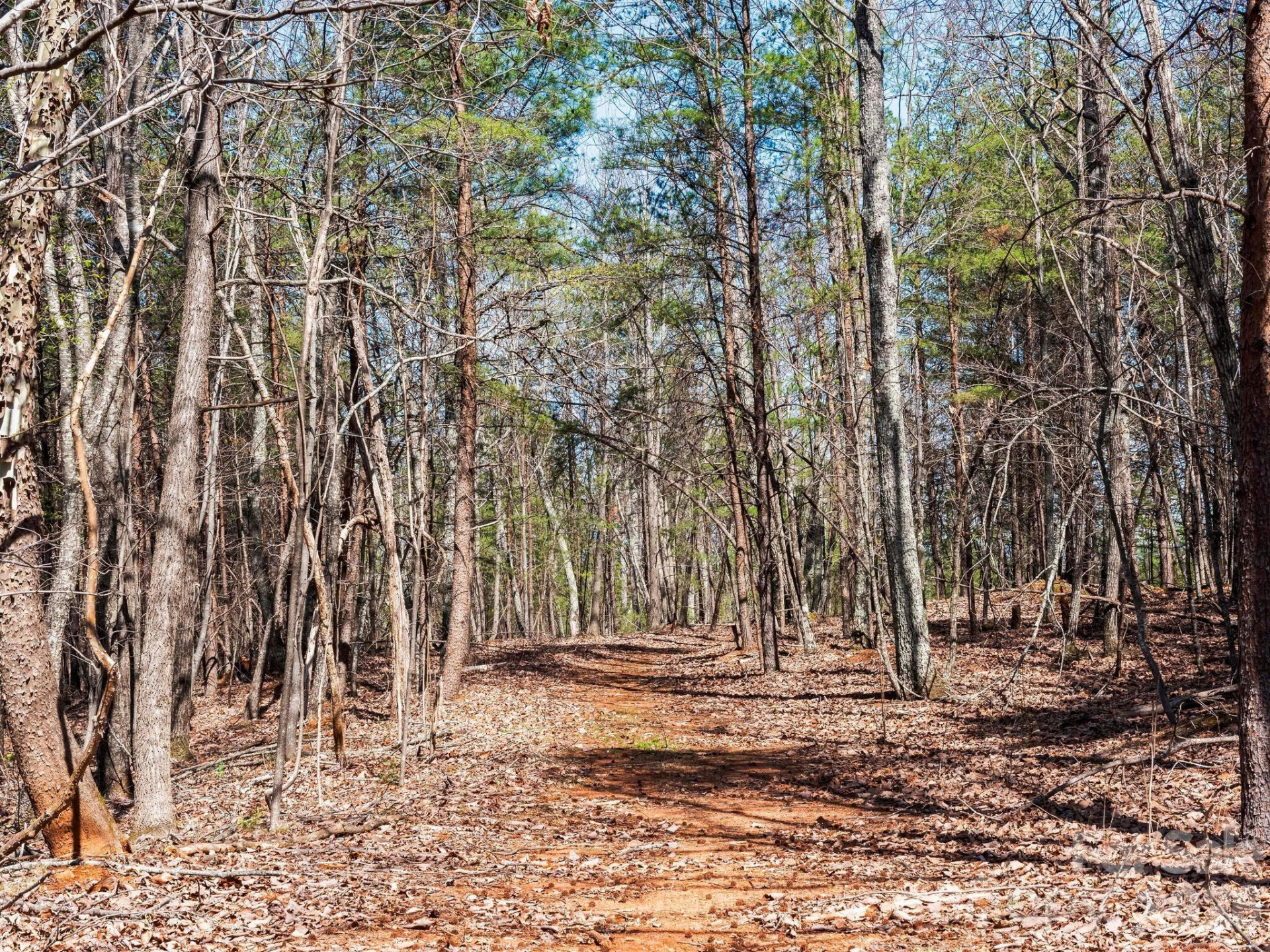 25 Preservation Trail - Photo 32