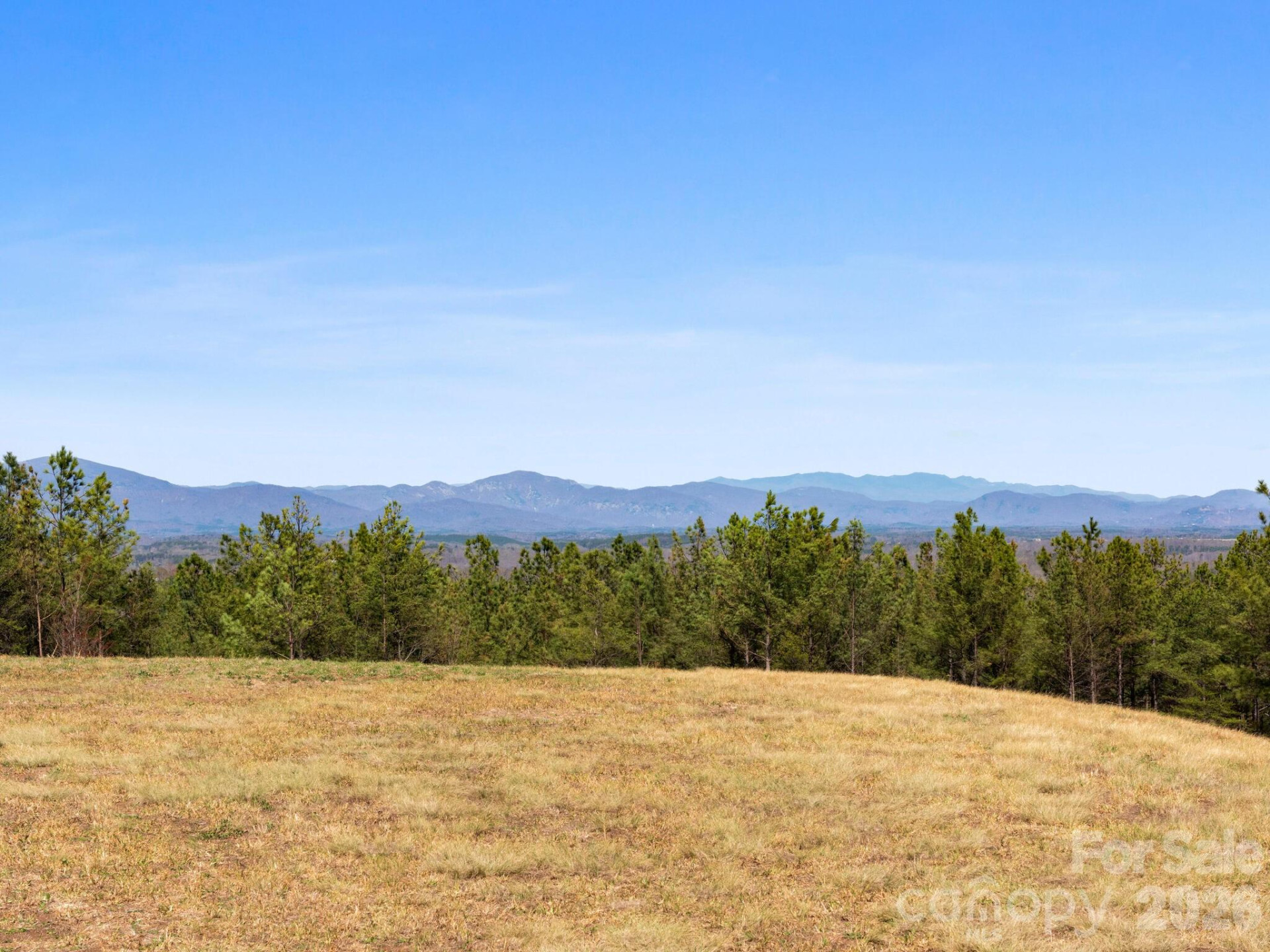 TBD Williams Loop - Photo 2