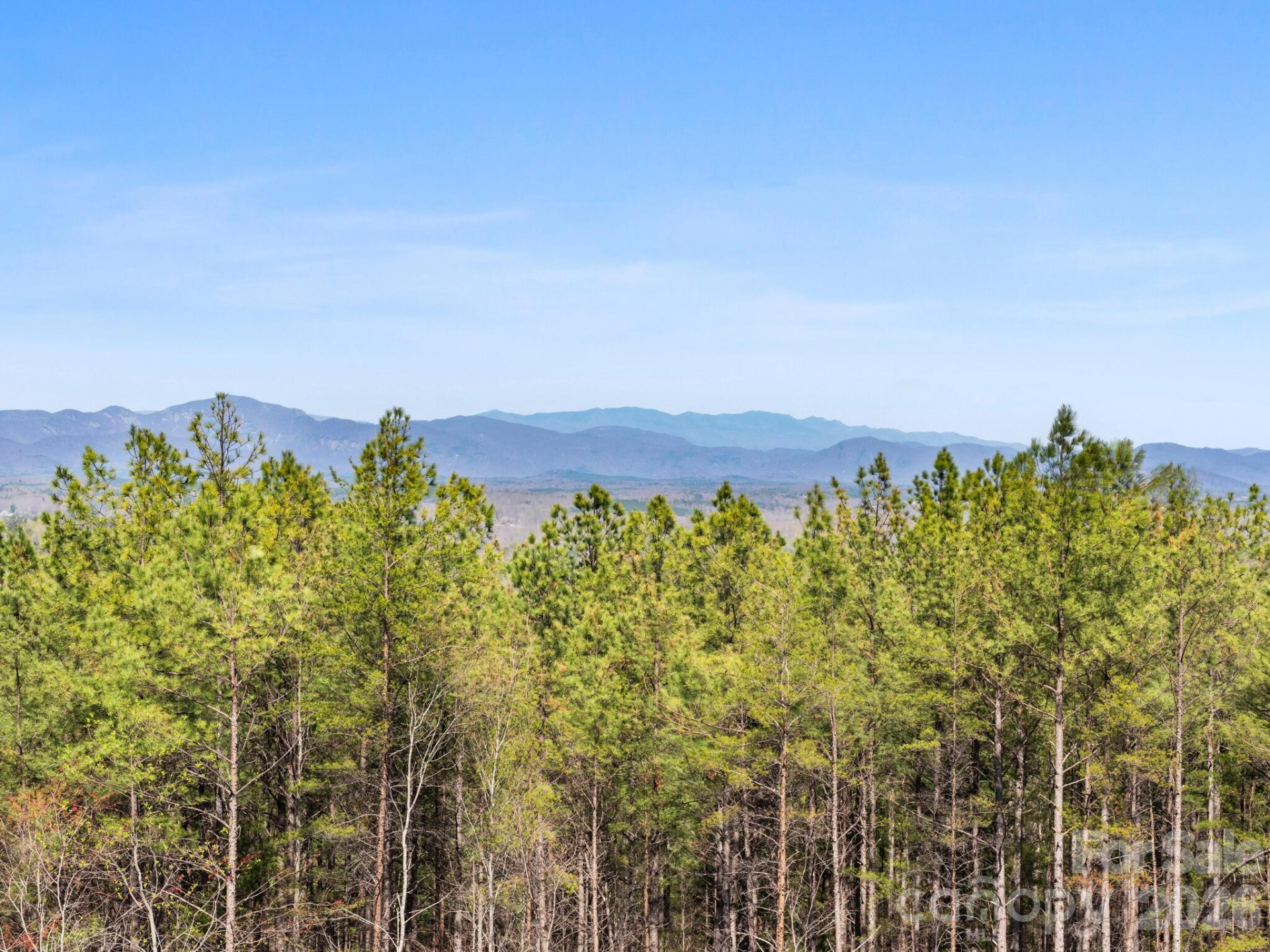 TBD Williams Loop - Photo 11