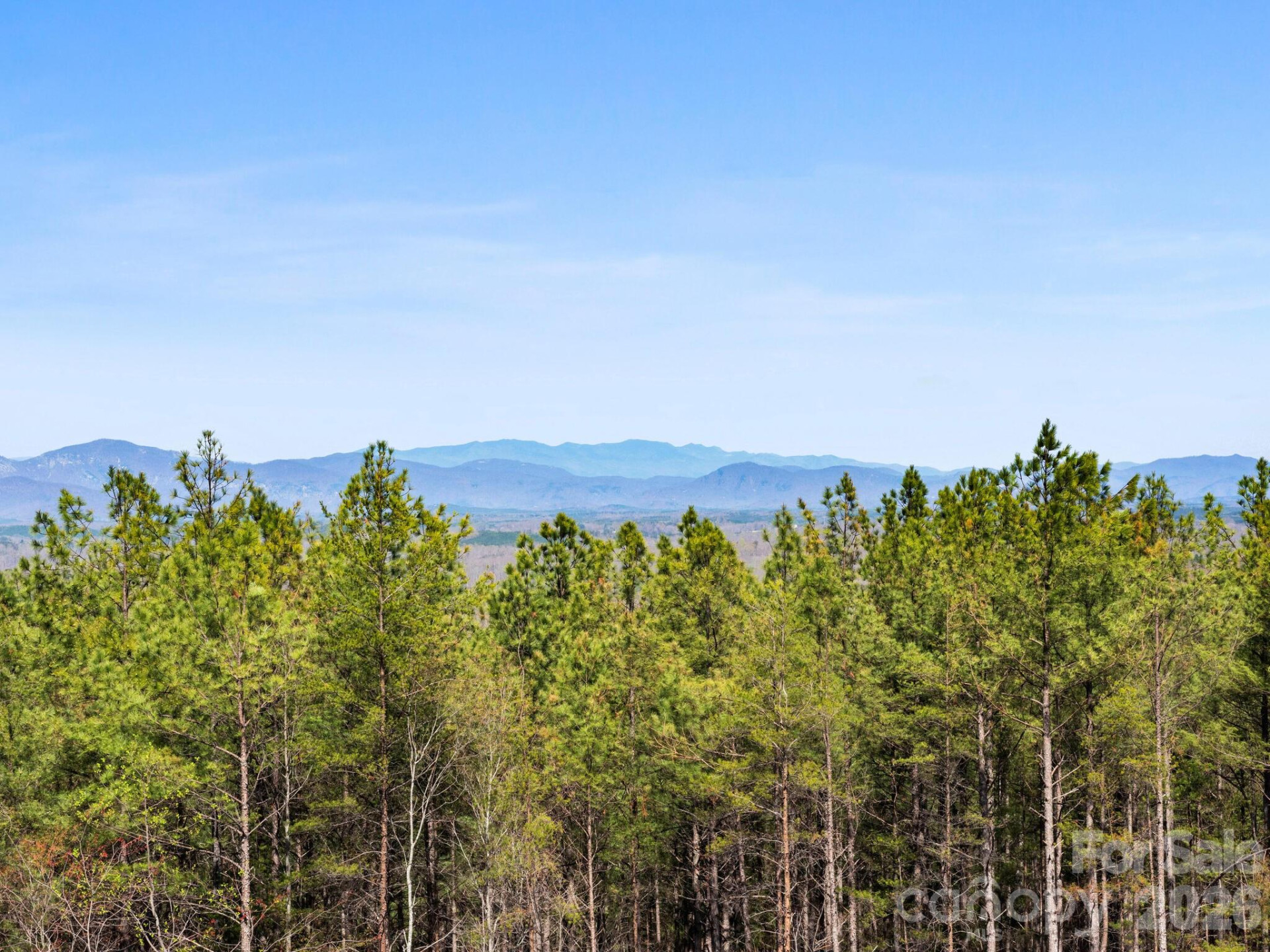 TBD Williams Loop - Photo 12