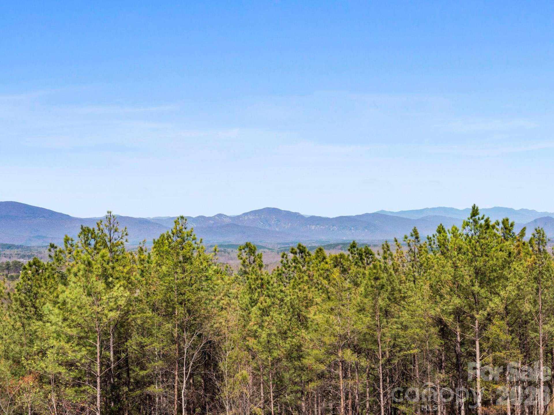 TBD Williams Loop - Photo 13