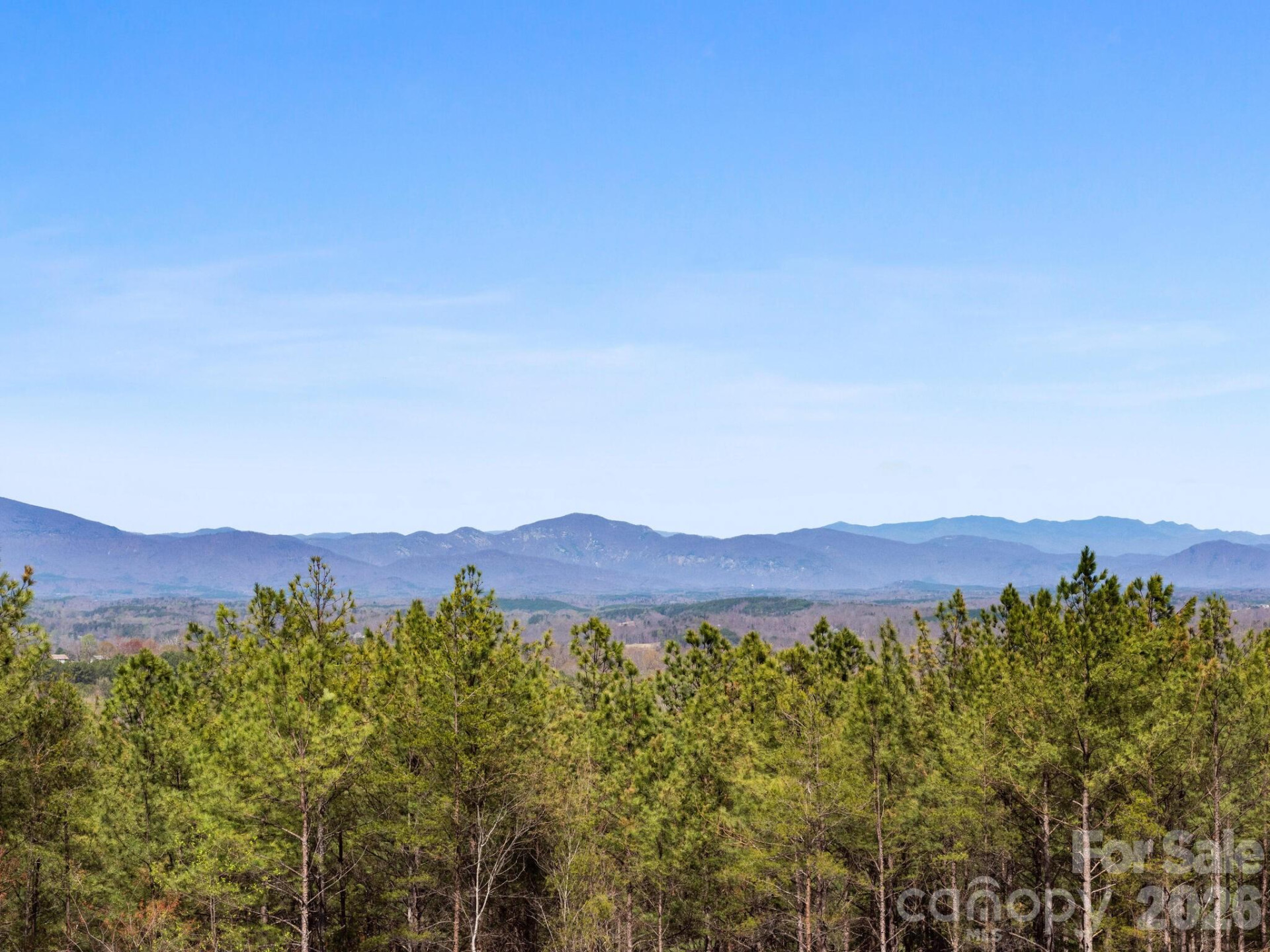 TBD Williams Loop - Photo 14