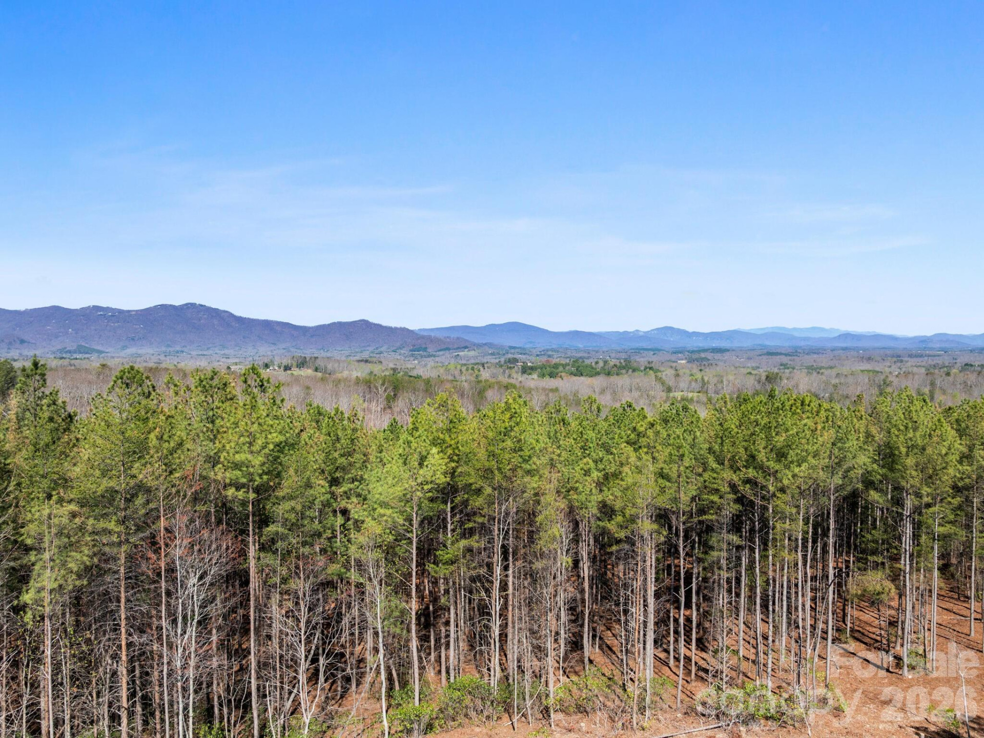 TBD Williams Loop - Photo 15