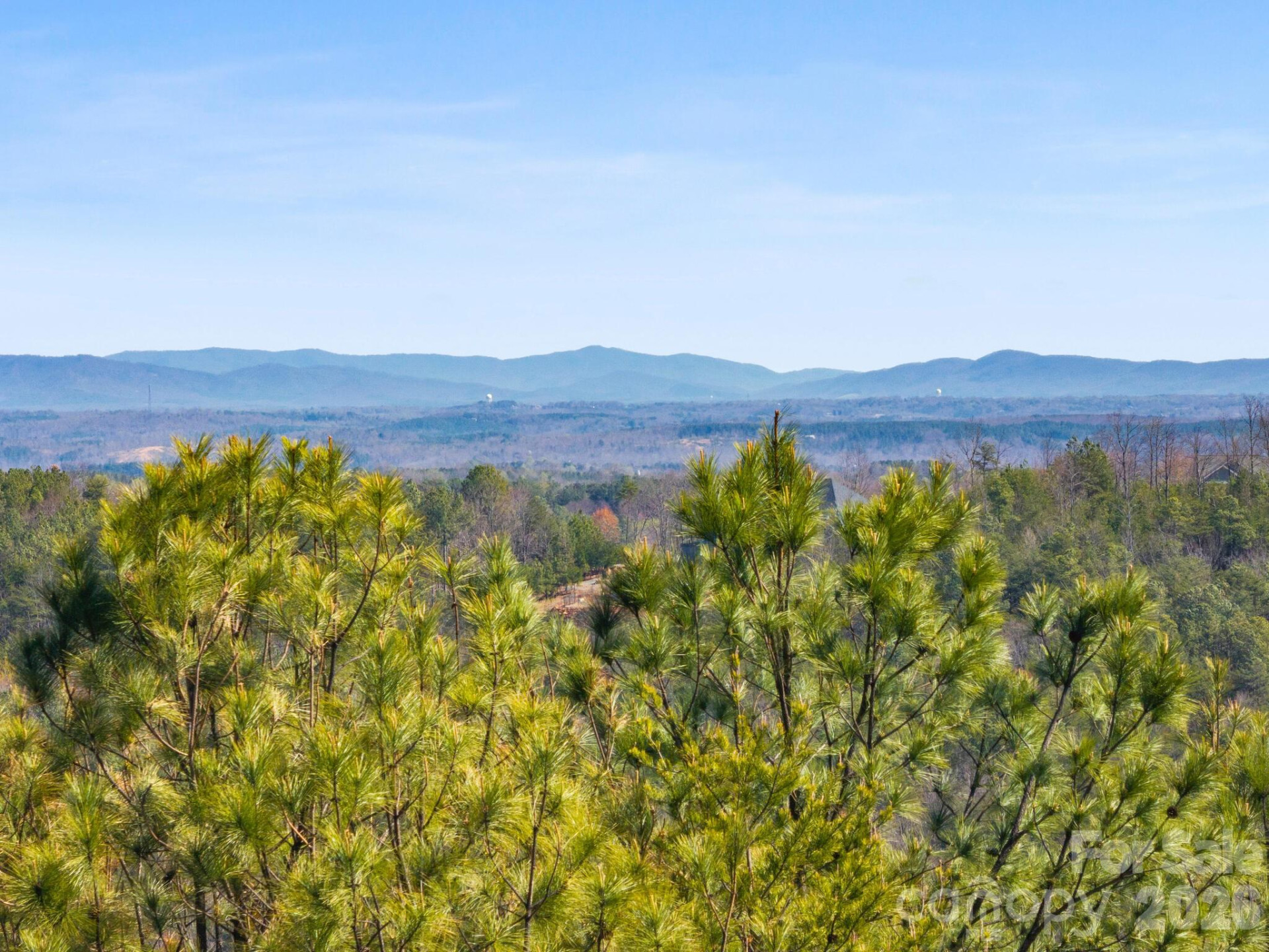 TBD Williams Loop - Photo 18