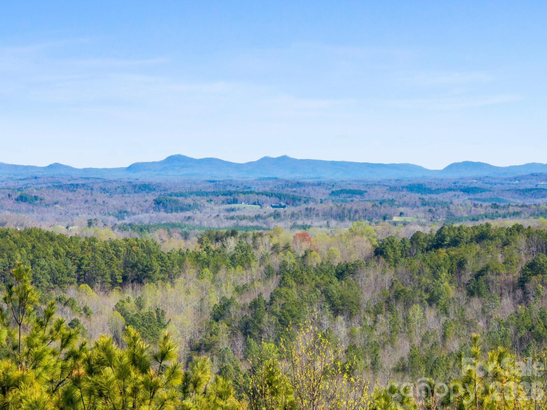 TBD Williams Loop - Photo 19