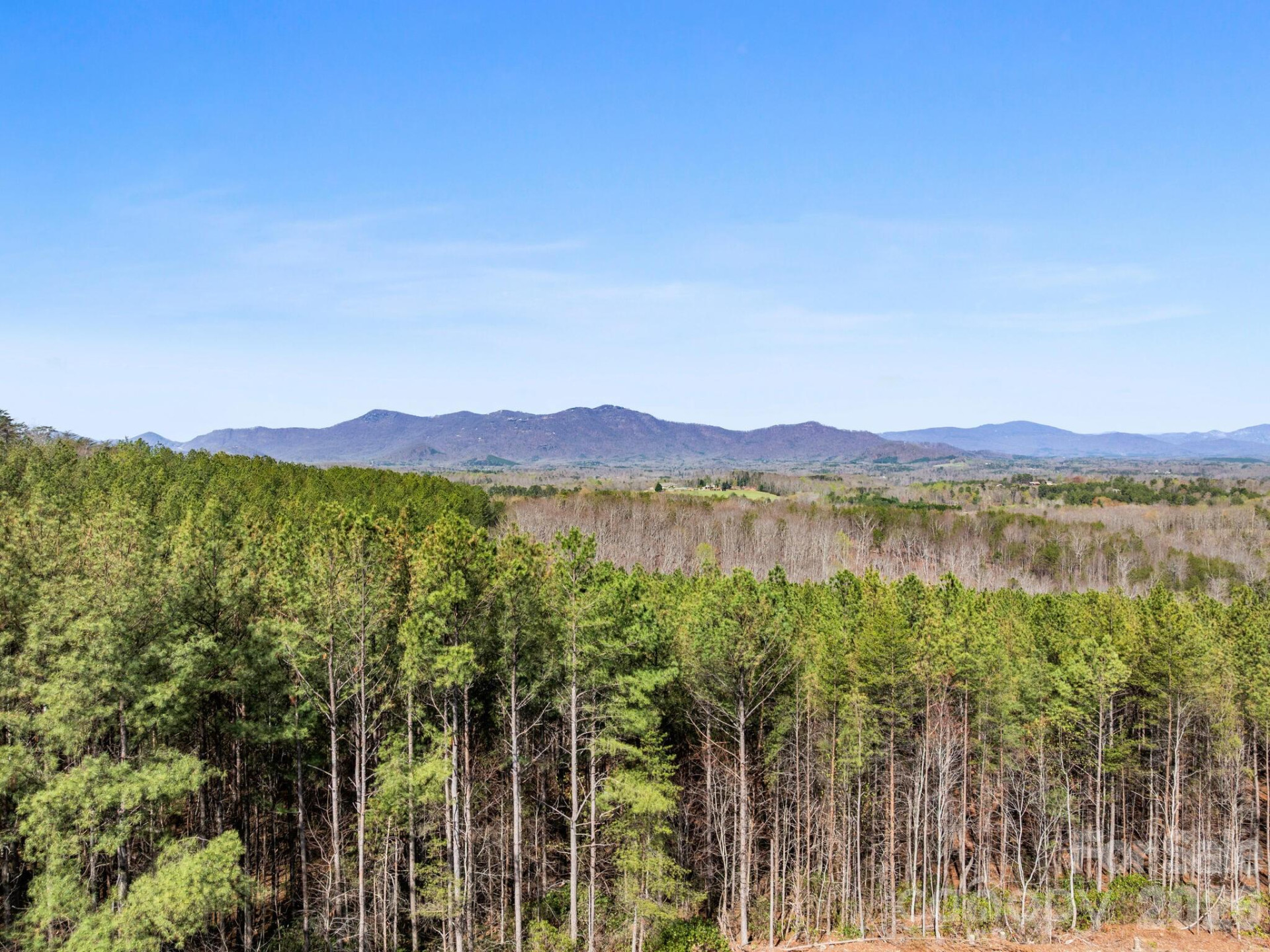 TBD Williams Loop - Photo 20