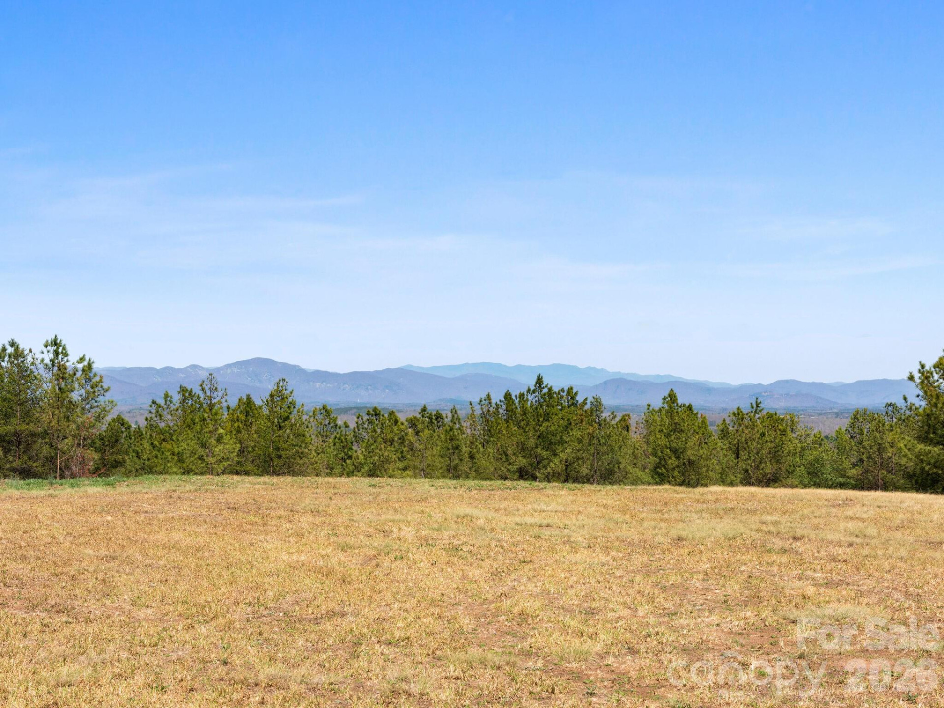 TBD Williams Loop - Photo 3