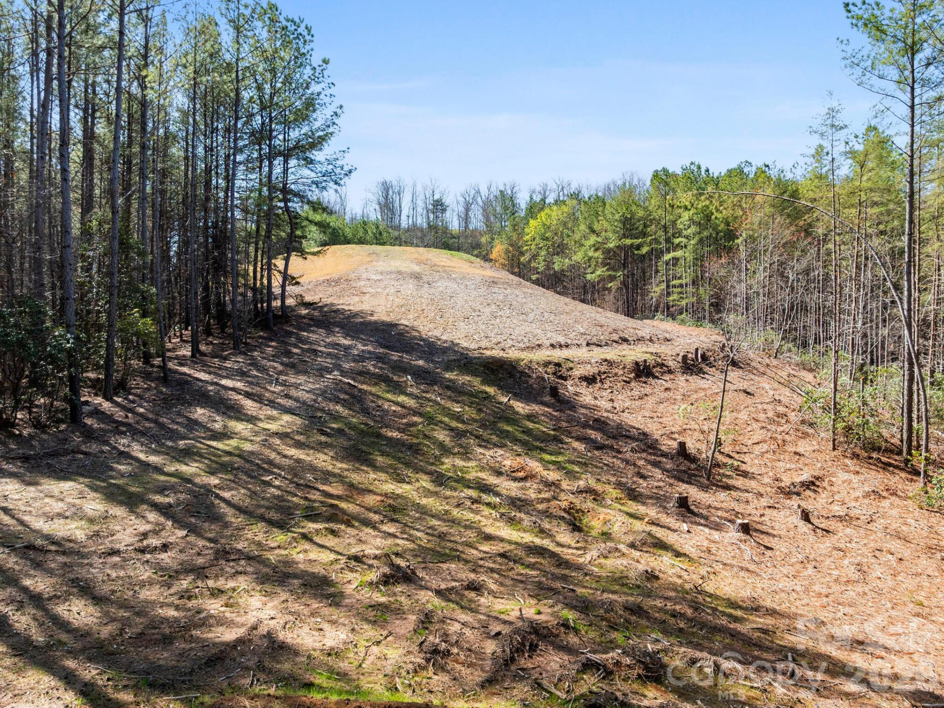 TBD Williams Loop - Photo 26