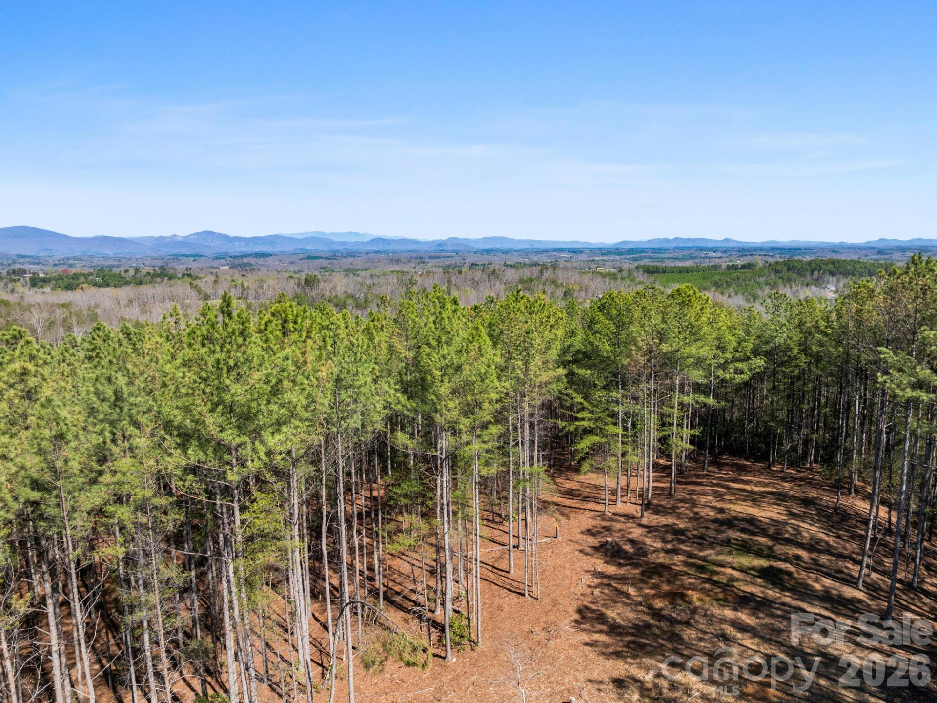 TBD Williams Loop - Photo 27