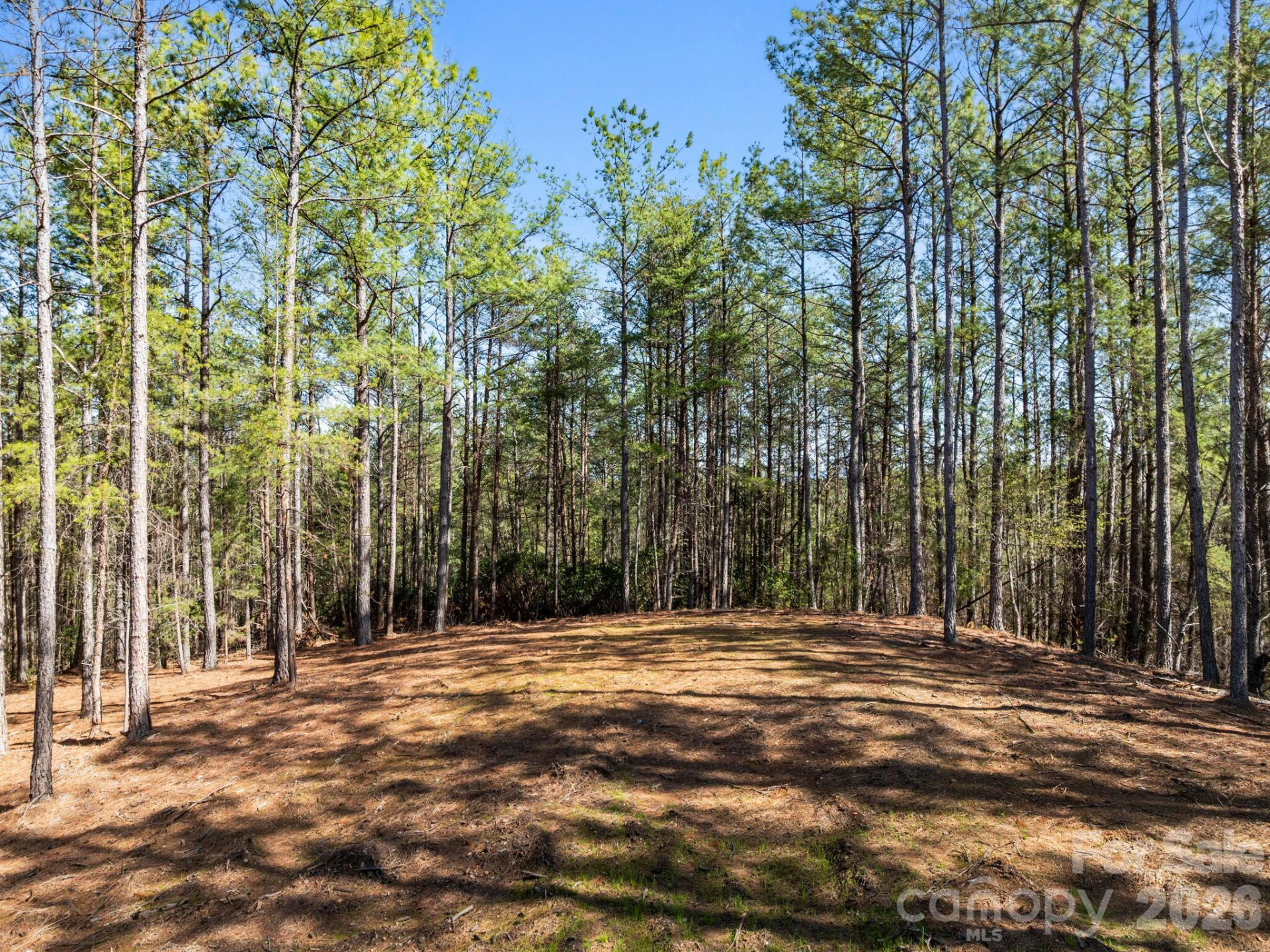 TBD Williams Loop - Photo 28