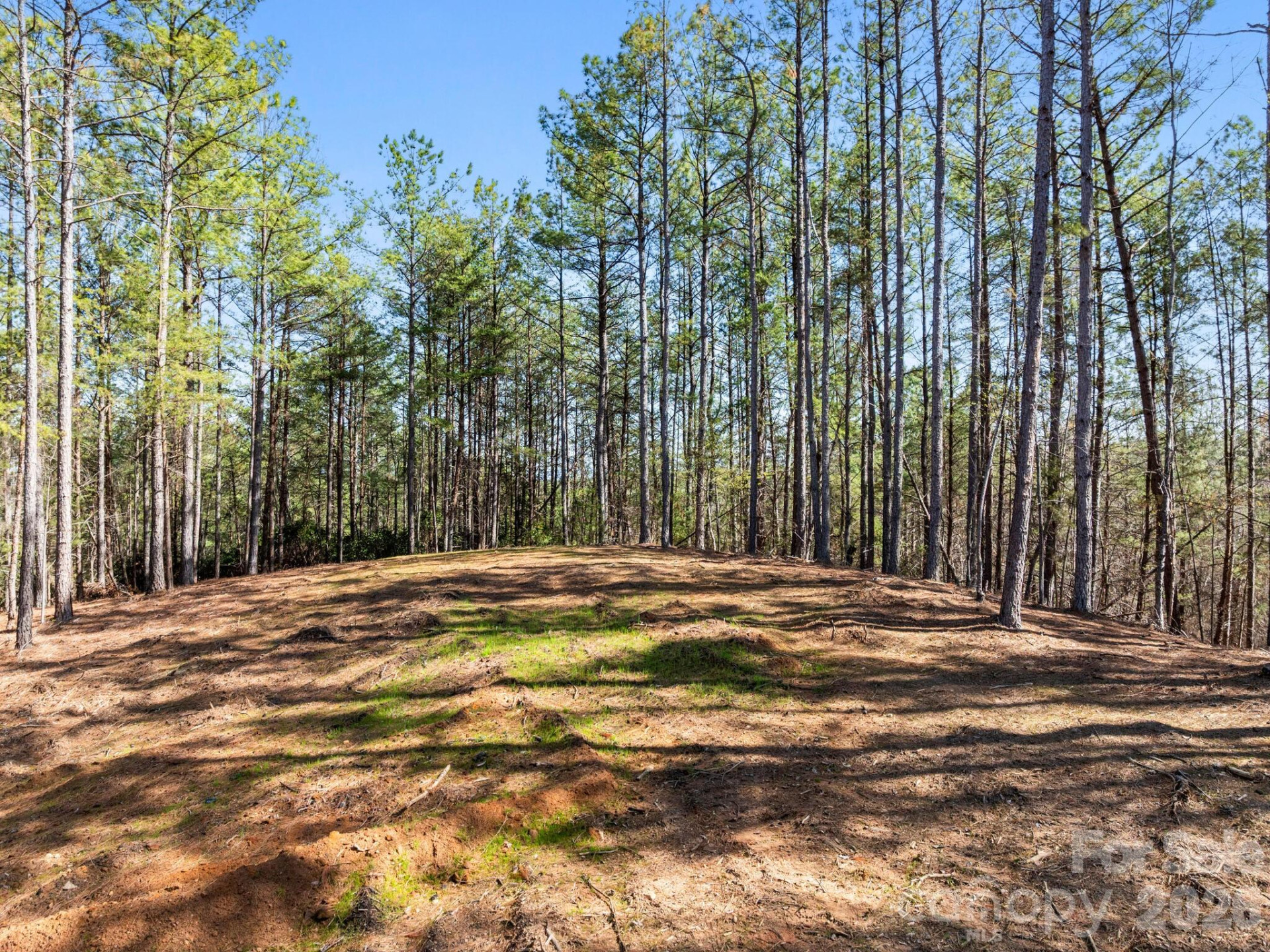 TBD Williams Loop - Photo 29