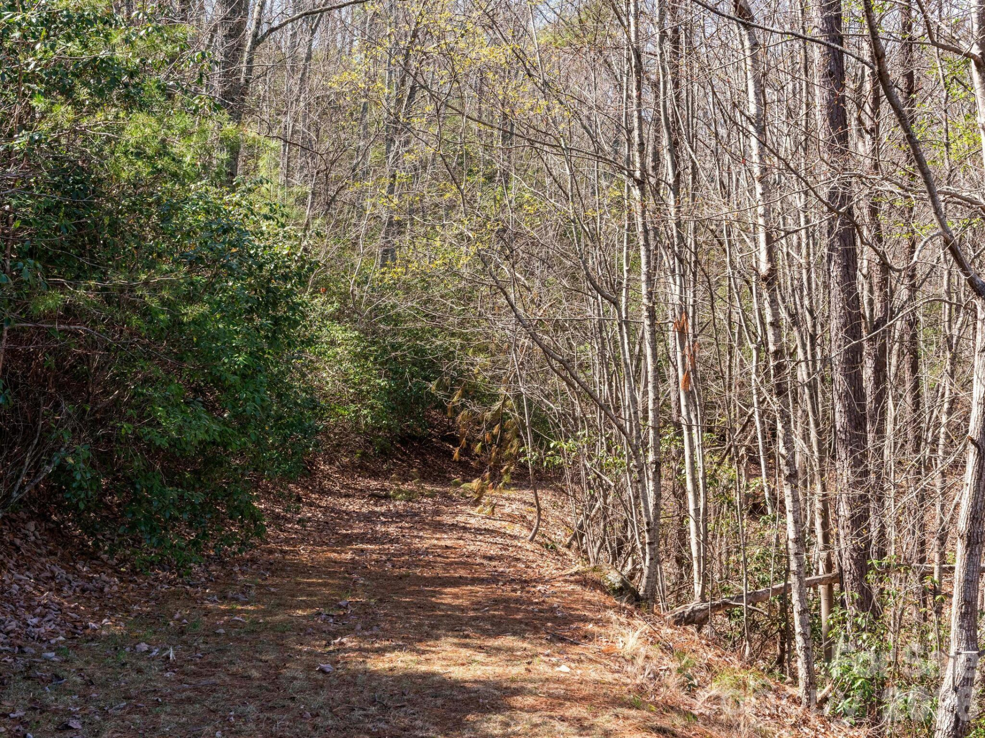 TBD Williams Loop - Photo 30