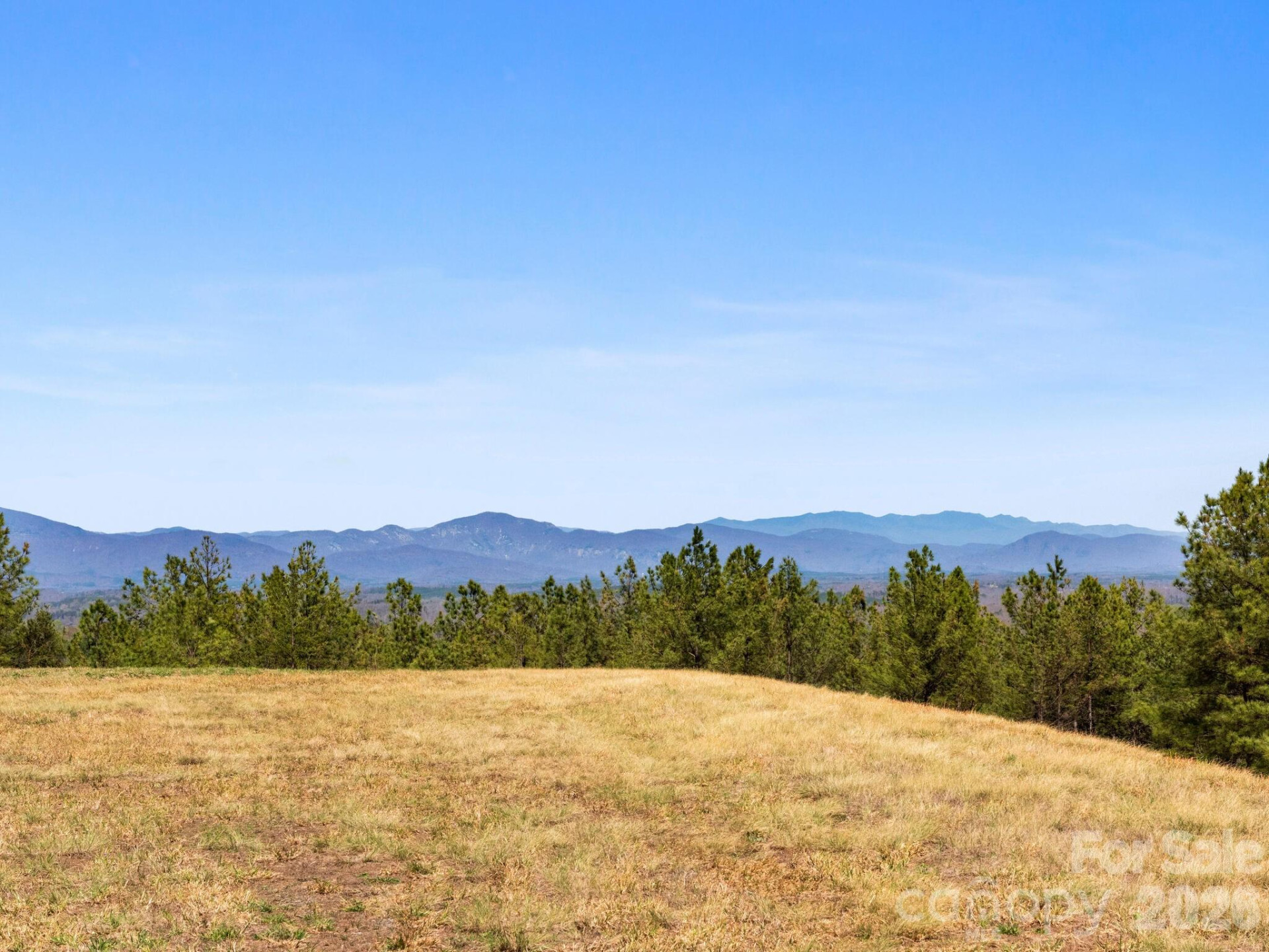 TBD Williams Loop - Photo 5