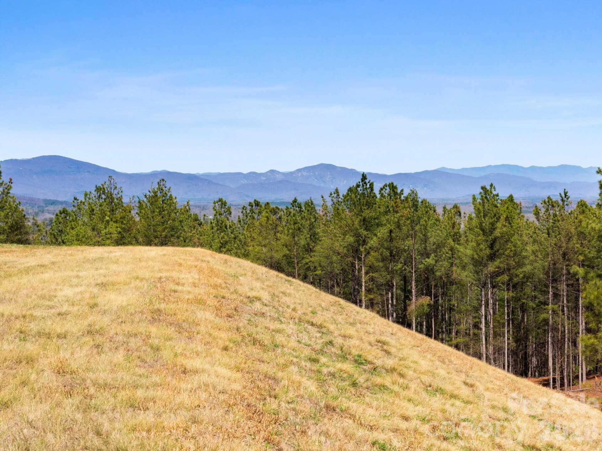 TBD Williams Loop - Photo 6