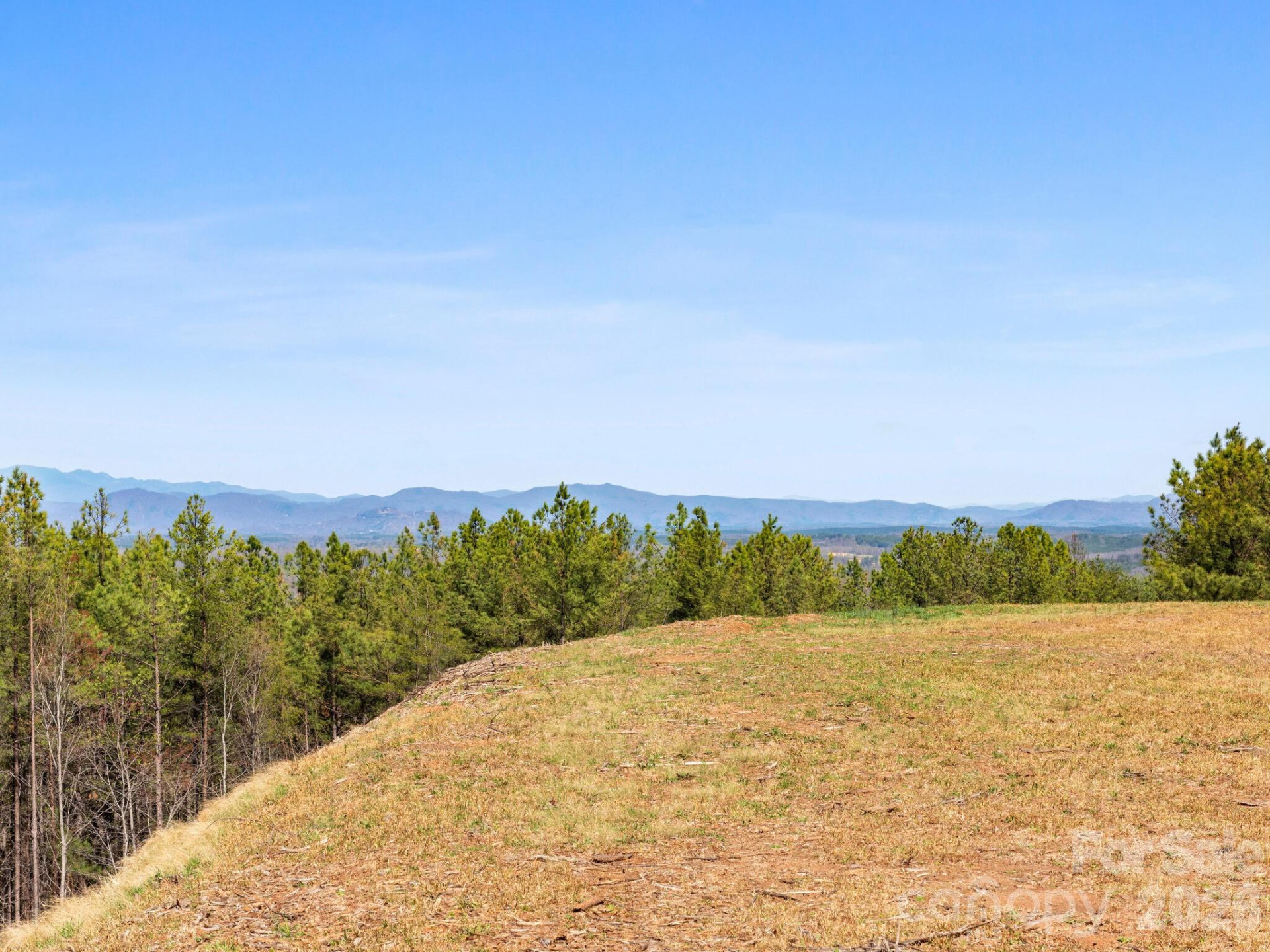 TBD Williams Loop - Photo 7