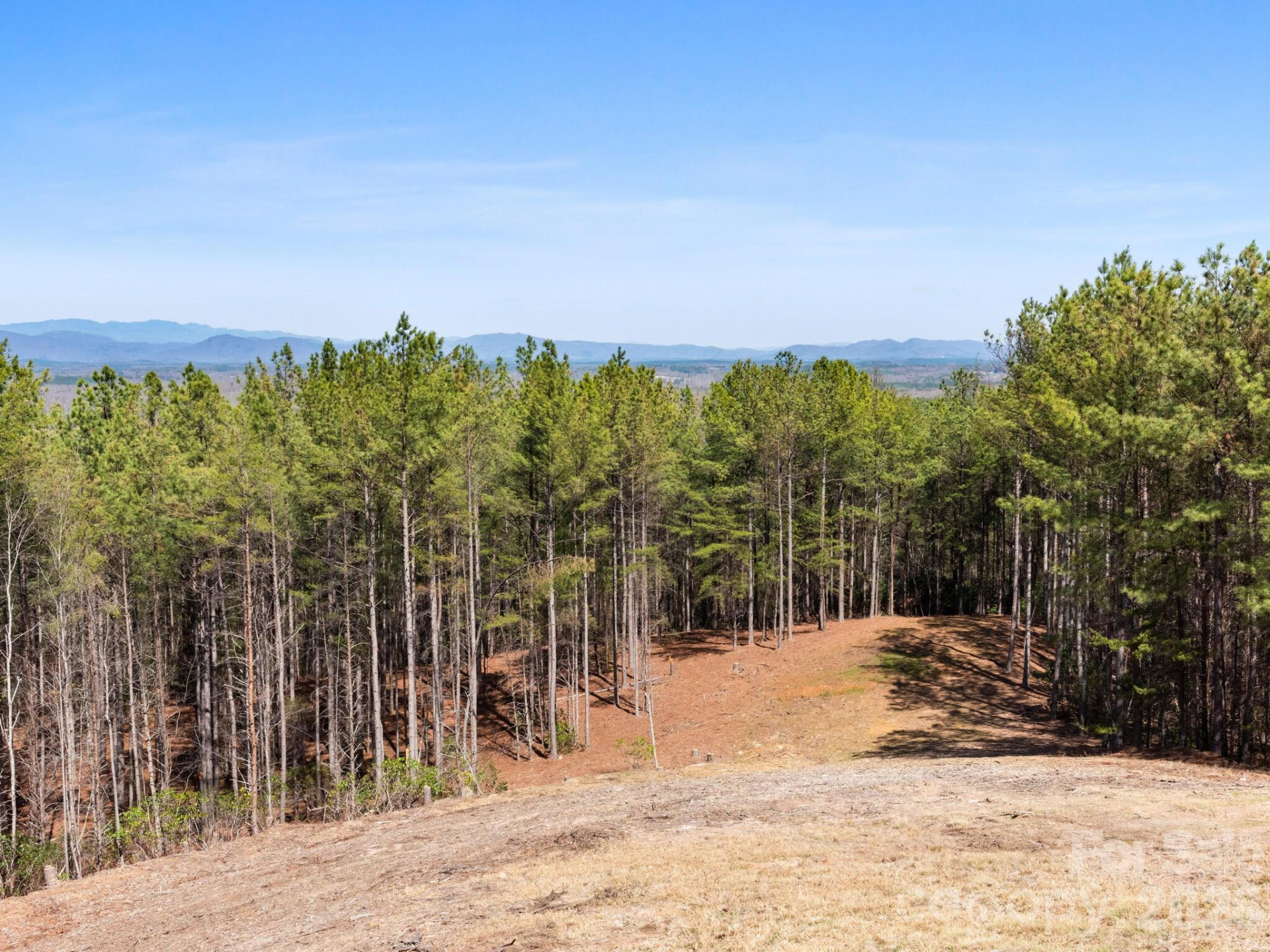 TBD Williams Loop - Photo 10