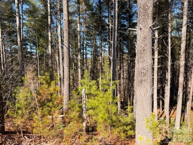 32 Clear View Way #133 PH 2 - Photo 3