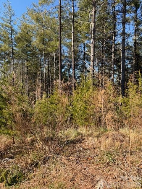 32 Clear View Way #133 PH 2 - Photo 4