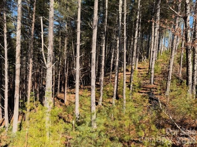 32 Clear View Way #133 PH 2 - Photo 5