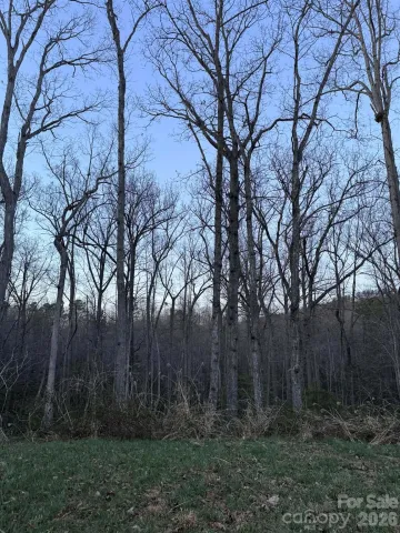 0000 Berea Avenue, Connelly Springs, NC, 28612