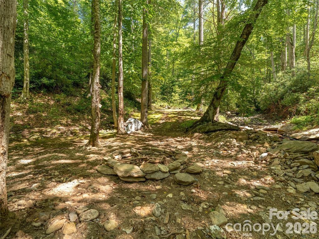 347 Blackberry Inn Road - Photo 31