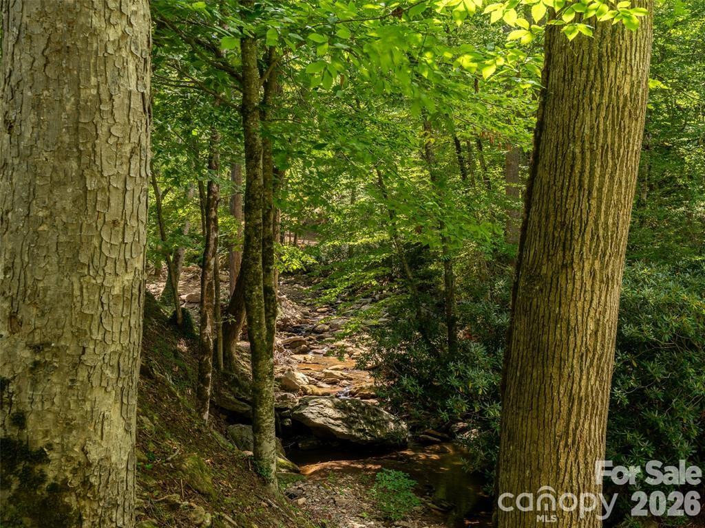 347 Blackberry Inn Road - Photo 41