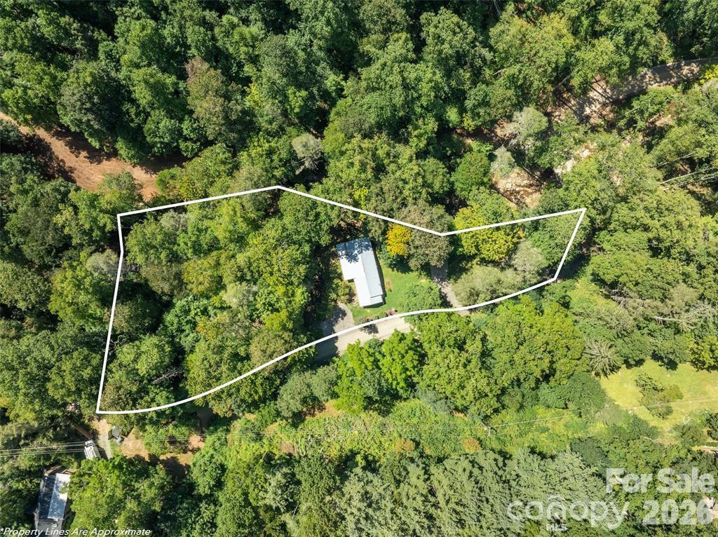 347 Blackberry Inn Road - Photo 6