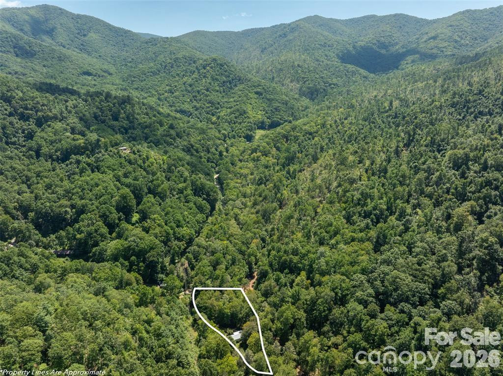 347 Blackberry Inn Road - Photo 7