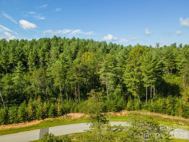 254 Peninsula Reserve Road, Nebo, NC, 28761