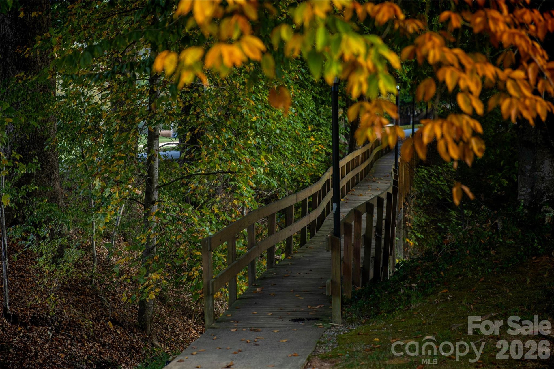 456 Youngs Mountain Drive - Photo 33