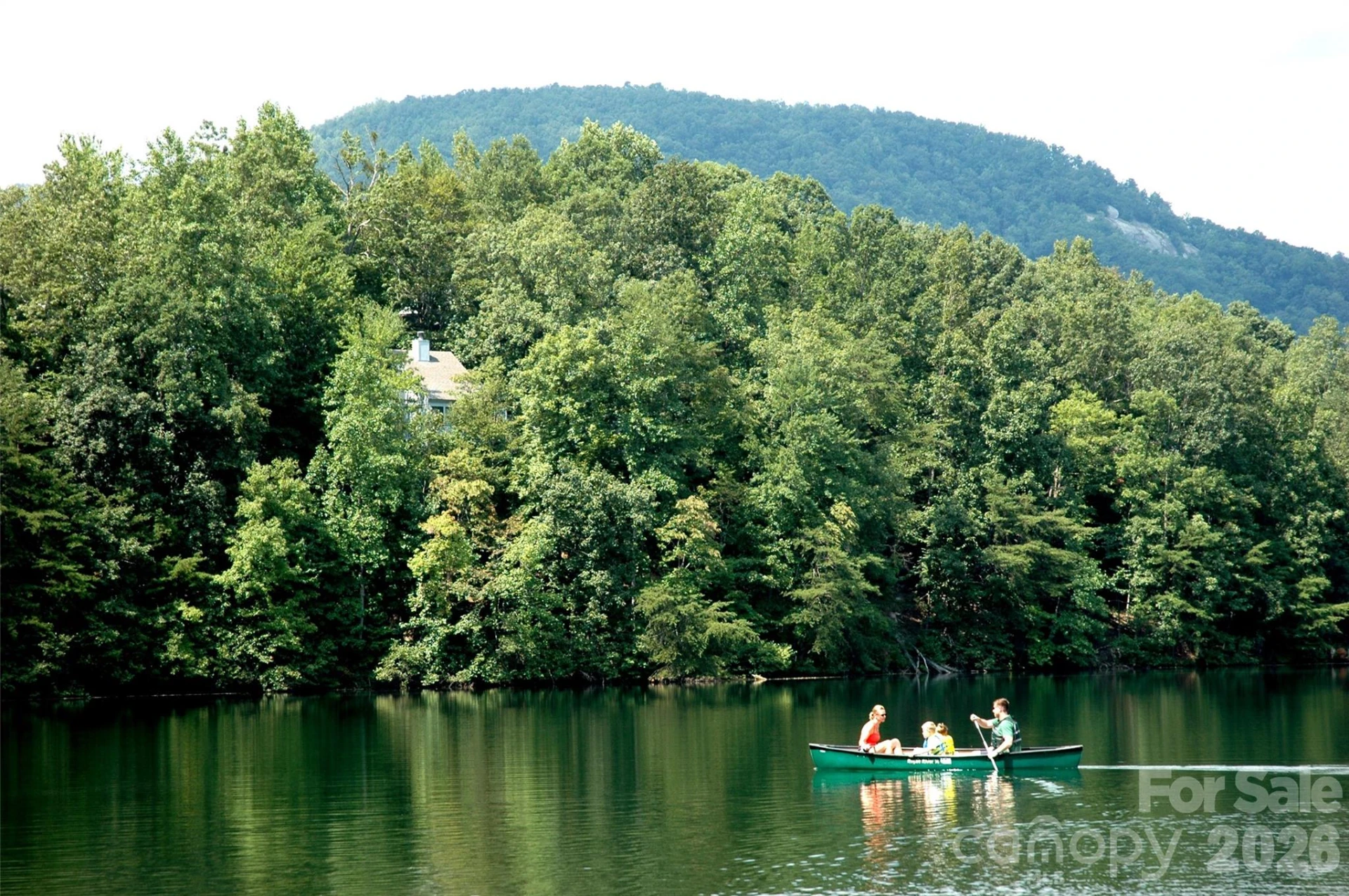 456 Youngs Mountain Drive - Photo 34