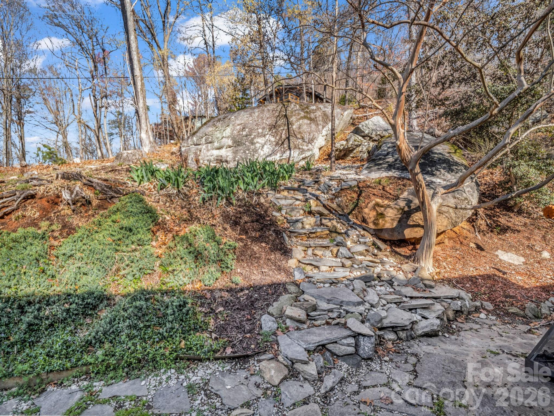 456 Youngs Mountain Drive - Photo 6