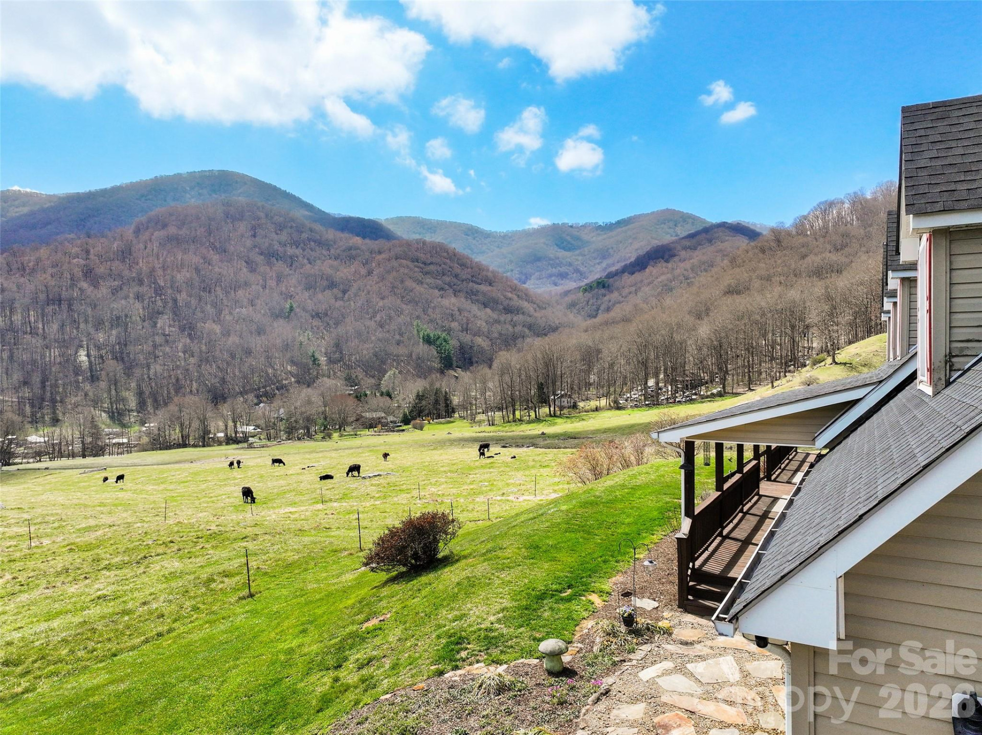 371 Ned Cove Road - Photo 4