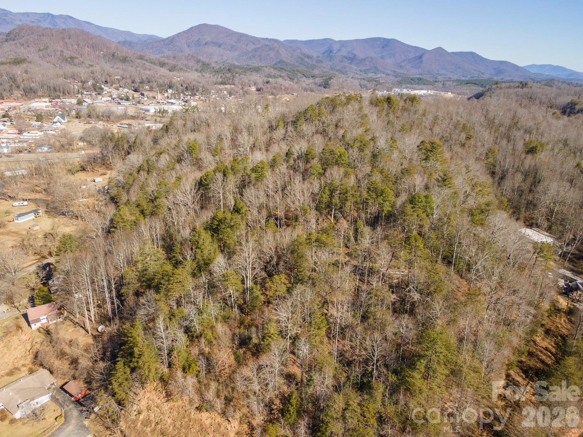 717 Bat Cave Road - Photo 8