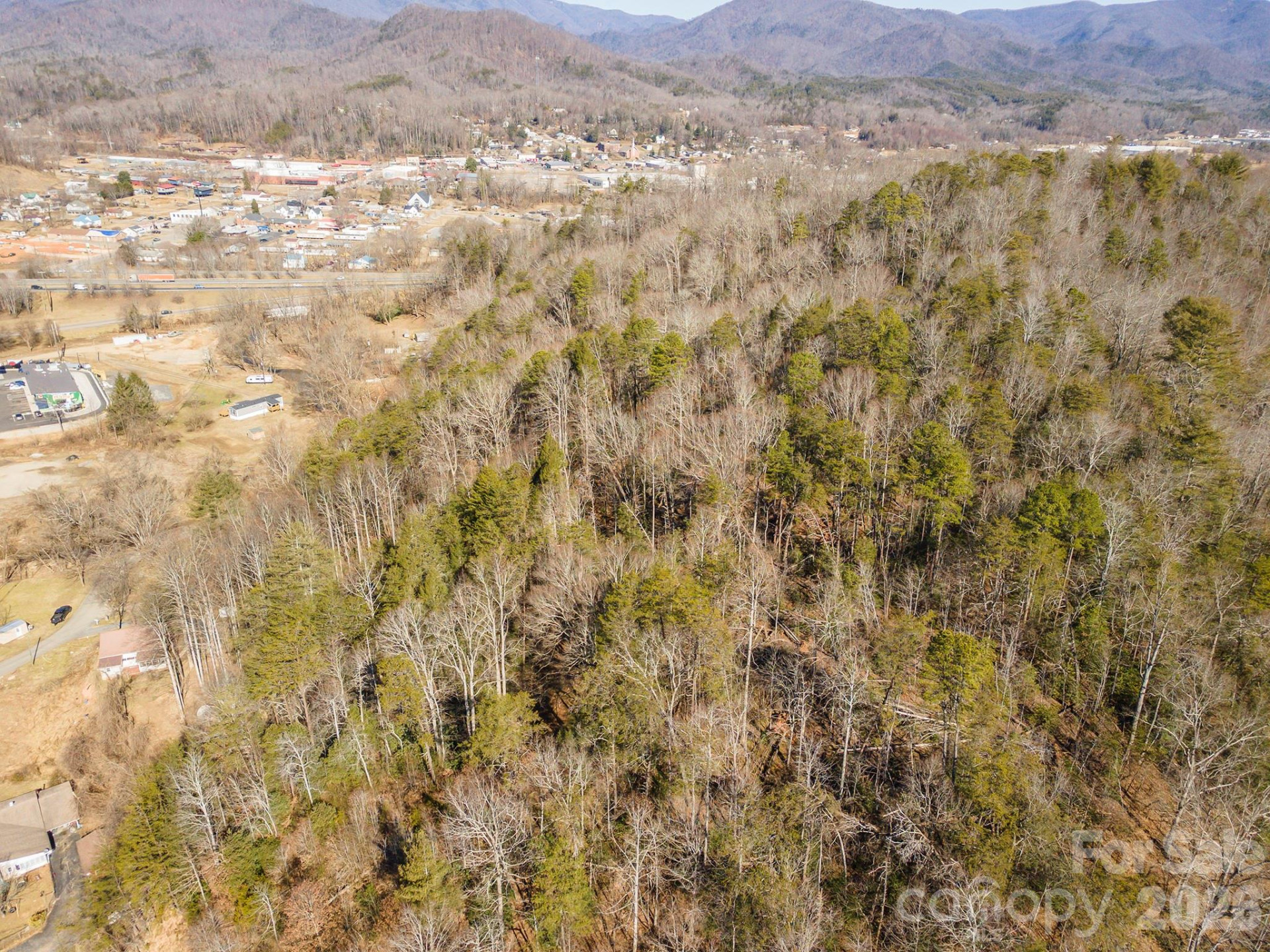 717 Bat Cave Road - Photo 9