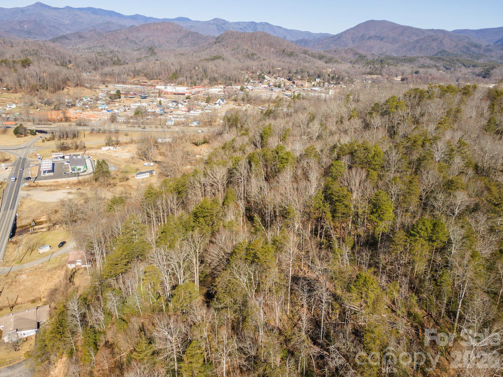 717 Bat Cave Road - Photo 10