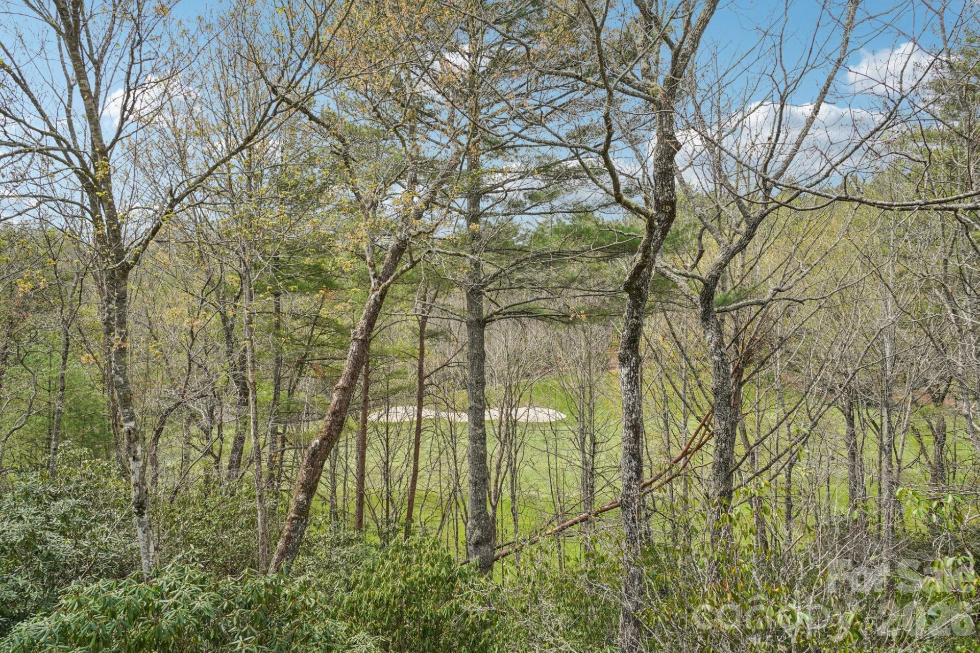304 Pine Forest Trace - Photo 48