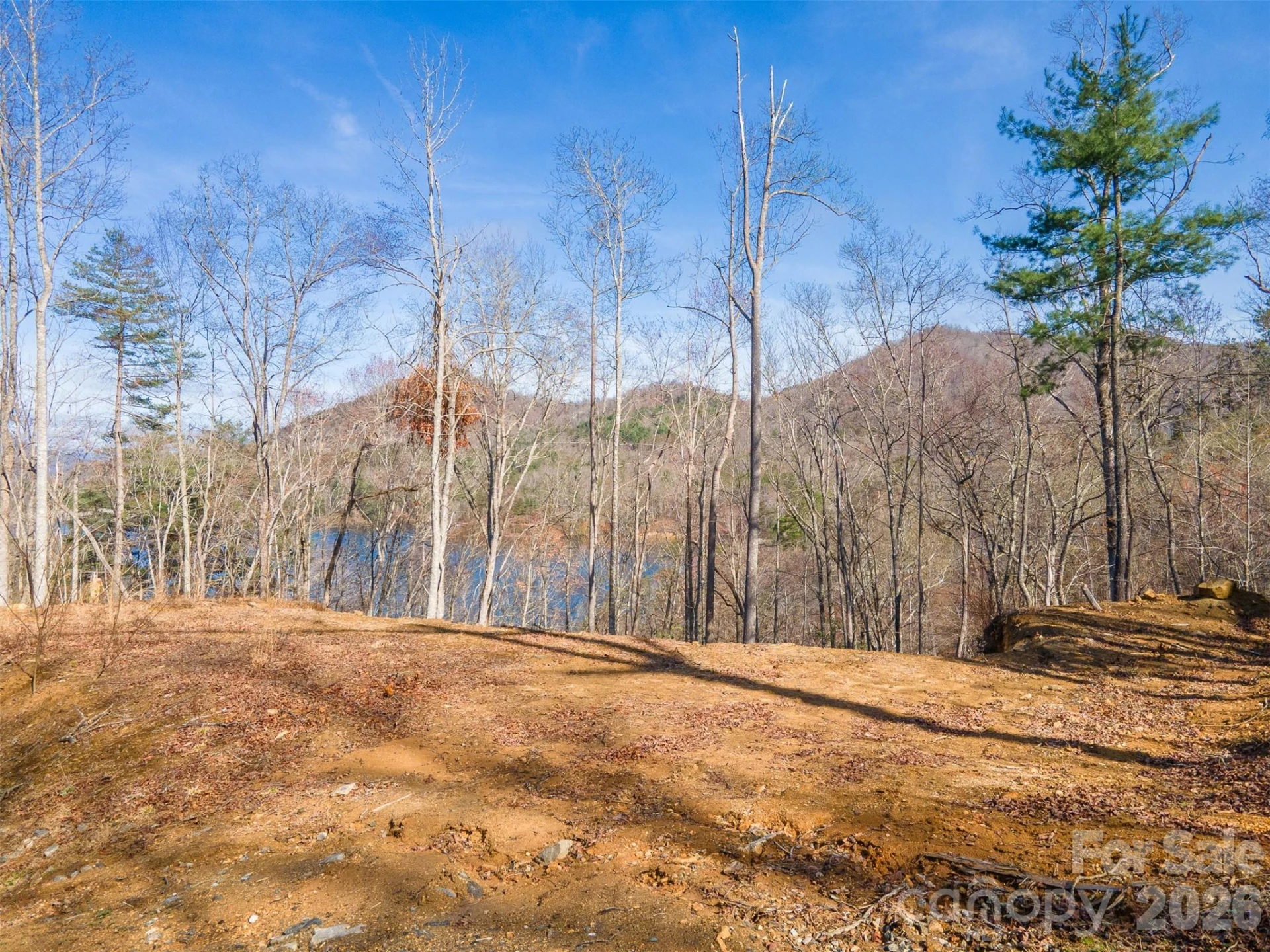 Lot 156 Mandolin Court #156 - Photo 2